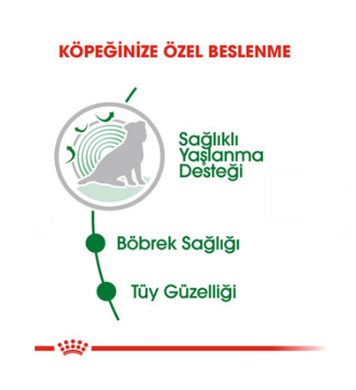 Royal Canin Mini Ageing Konserve Köpek Maması 12 X 85 Gr