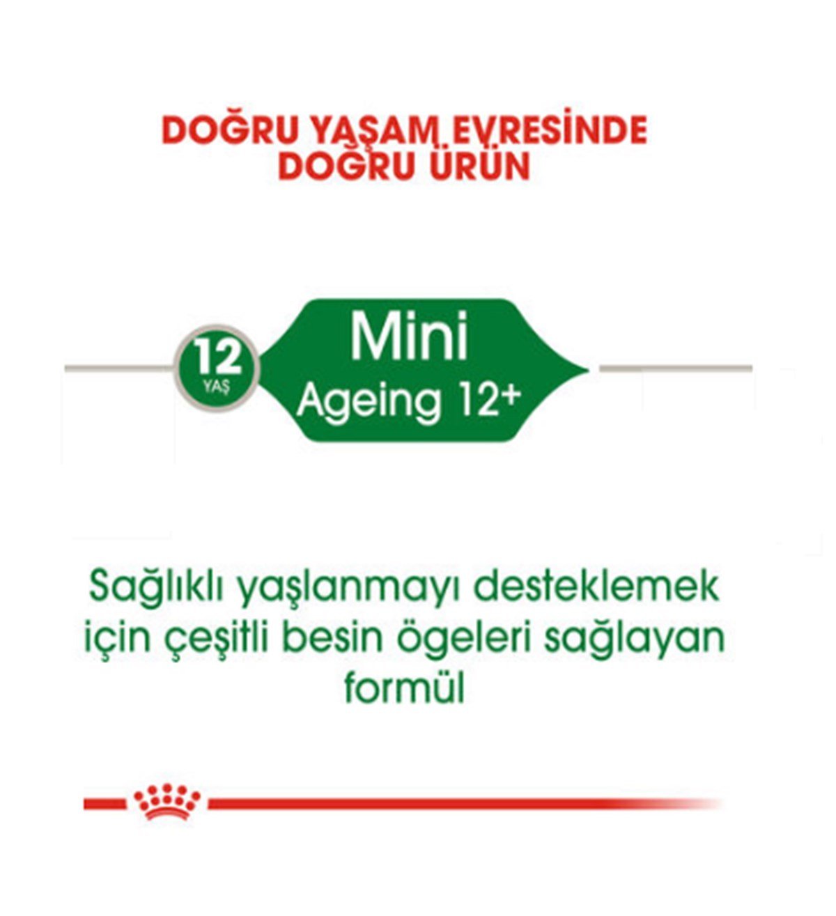 Royal Canin Mini Ageing Konserve Köpek Maması 12 X 85 Gr