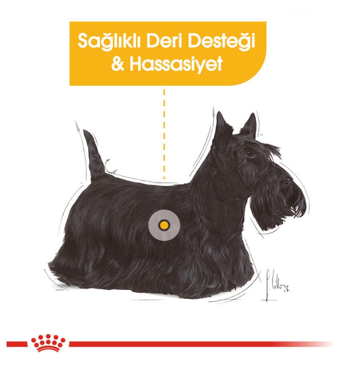 Royal Canin Mini Dermacomfort Köpek Maması 3 Kg