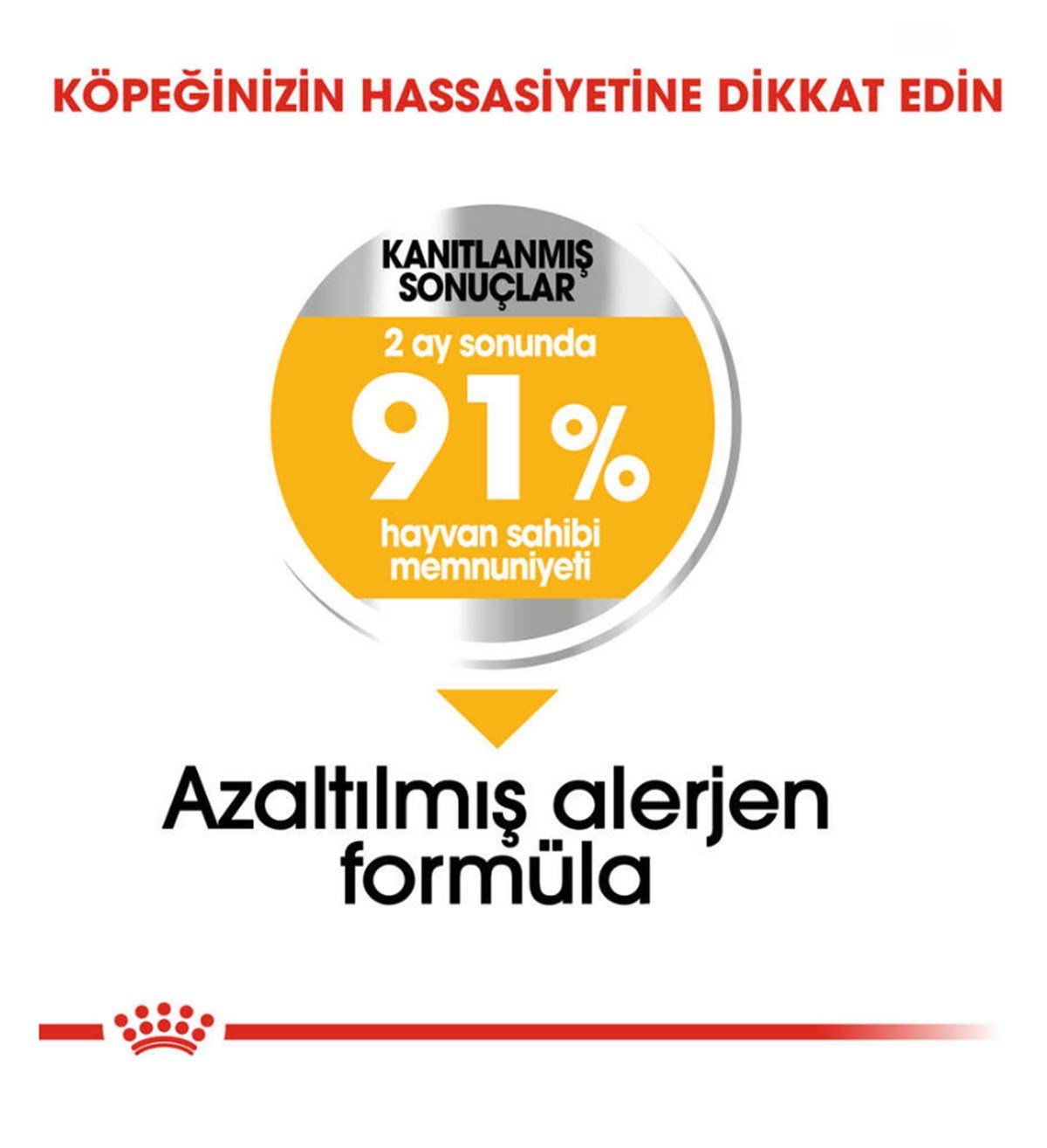 Royal Canin Mini Dermacomfort Köpek Maması 3 Kg