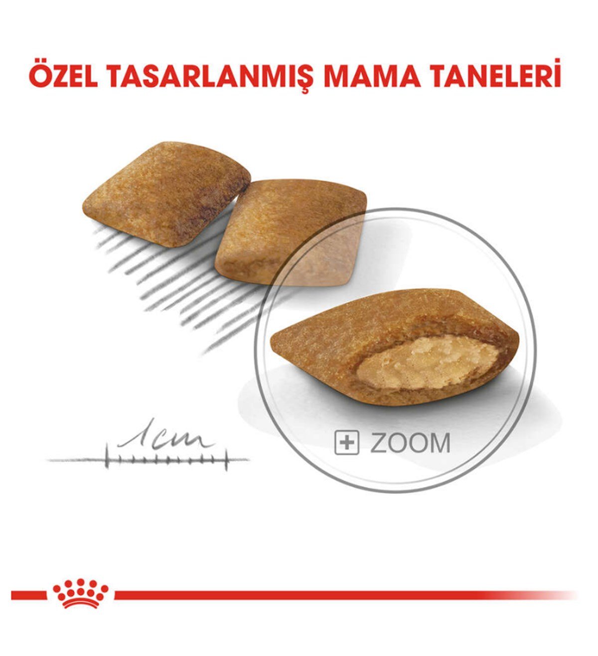 Royal Canin Mini Exigent Köpek Maması 3 Kg