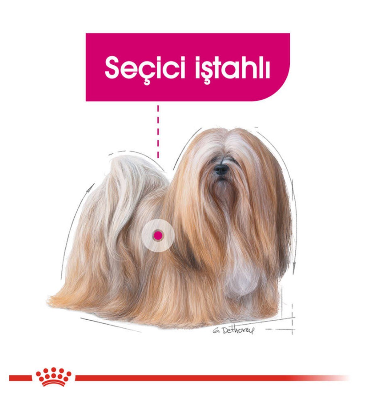 Royal Canin Mini Exigent Köpek Maması 3 Kg