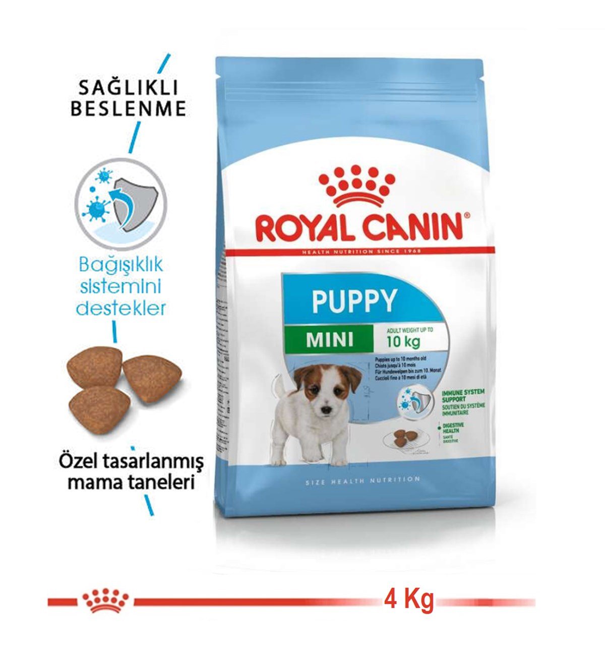 Royal Canin Mini Junior Küçük Irk Yavru Köpek Maması 4Kg