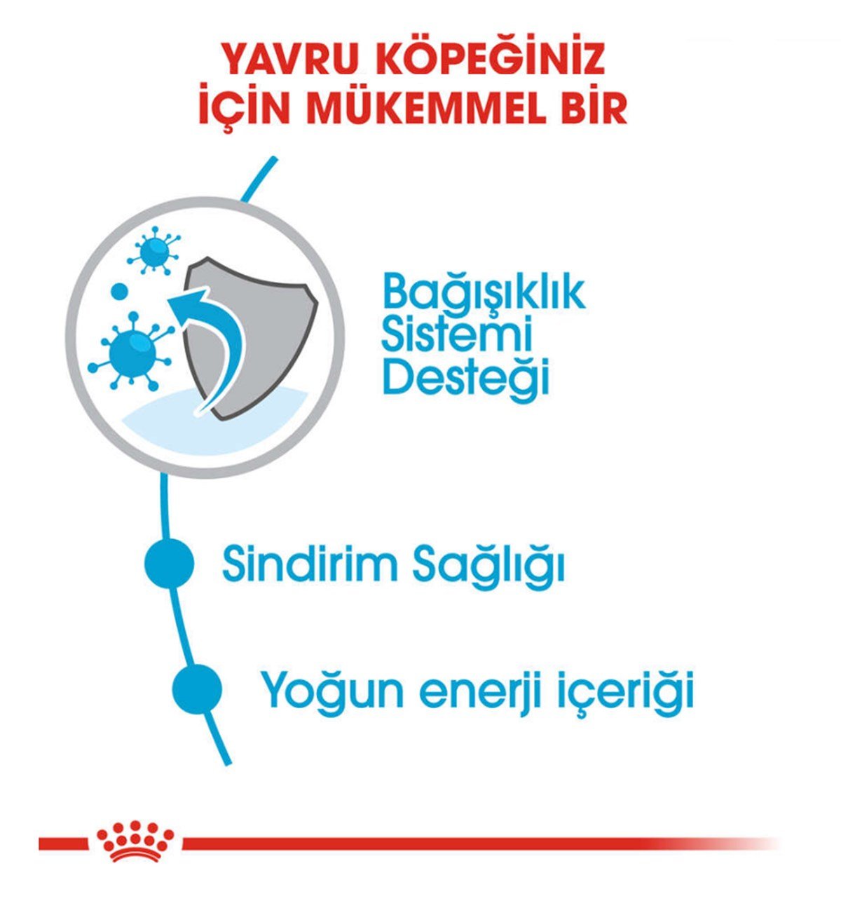 Royal Canin Mini Junior Küçük Irk Yavru Köpek Maması 4Kg