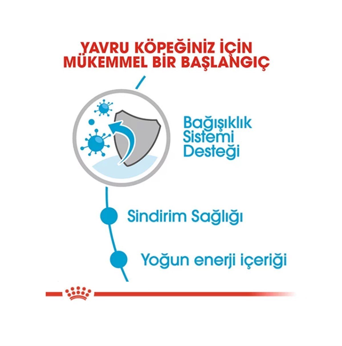 Royal Canin Mini Puppy Pouch Yaş Yavru Köpek Maması 85 Gr 12 Adet