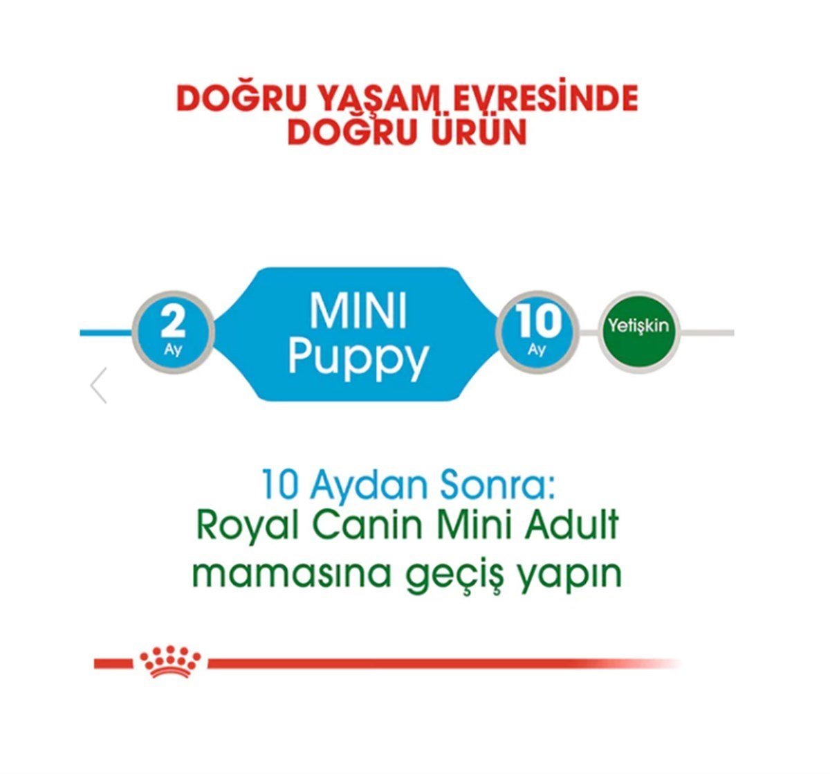 Royal Canin Mini Puppy Pouch Yaş Yavru Köpek Maması 85 Gr 12 Adet