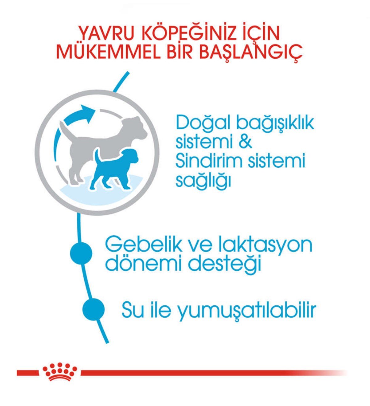 Royal Canin Mini Starter Küçük Irk Yavru ve Anne Köpek Maması 3 KG