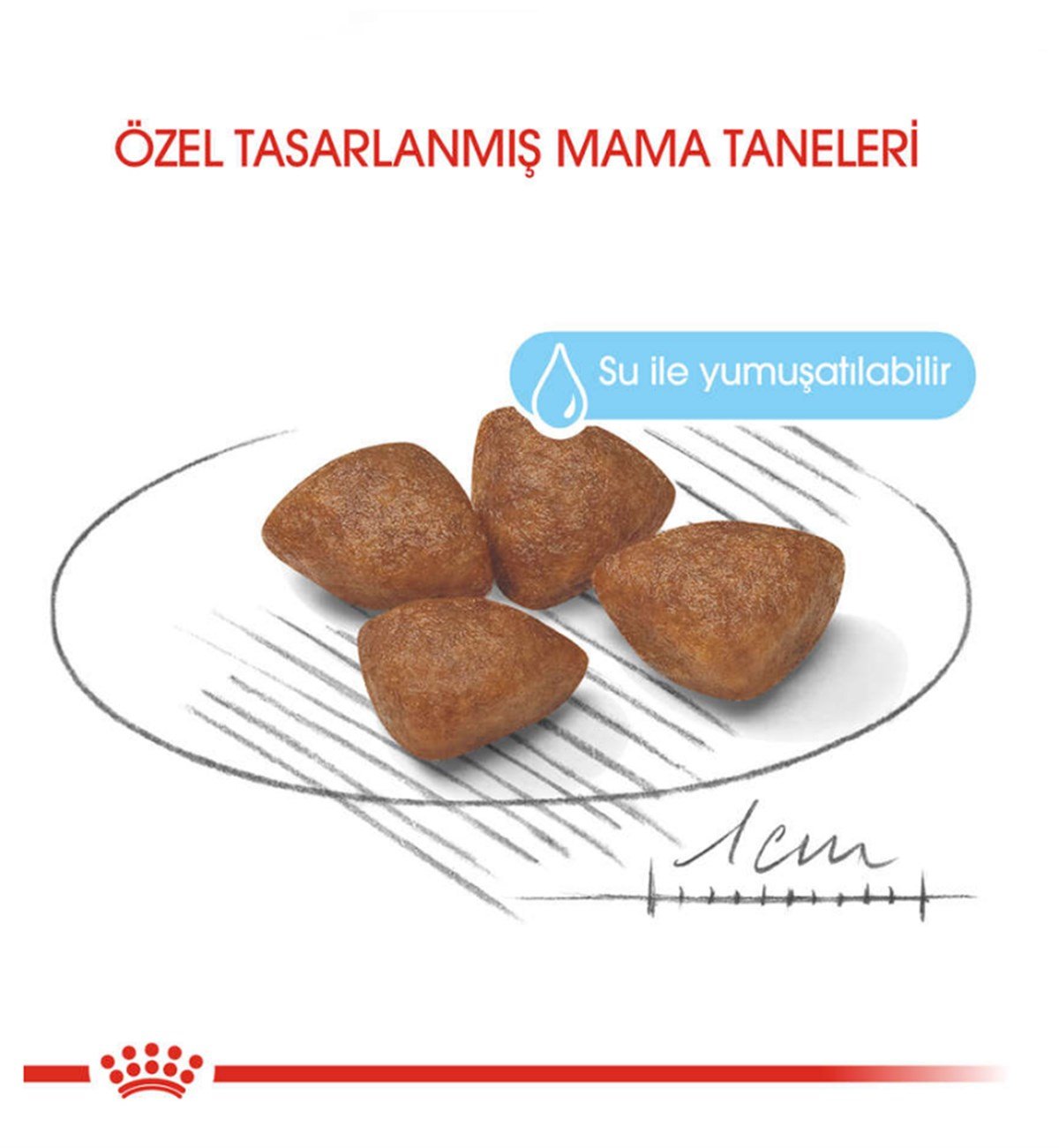 Royal Canin Mini Starter Küçük Irk Yavru ve Anne Köpek Maması 3 KG