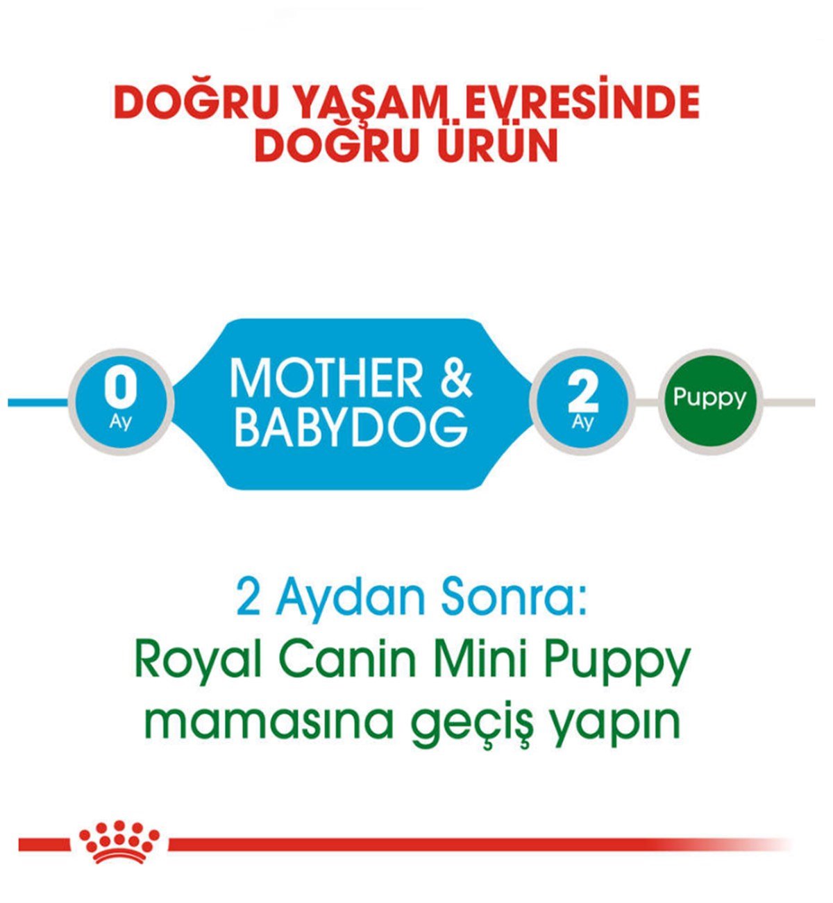 Royal Canin Mini Starter Küçük Irk Yavru ve Anne Köpek Maması 3 KG