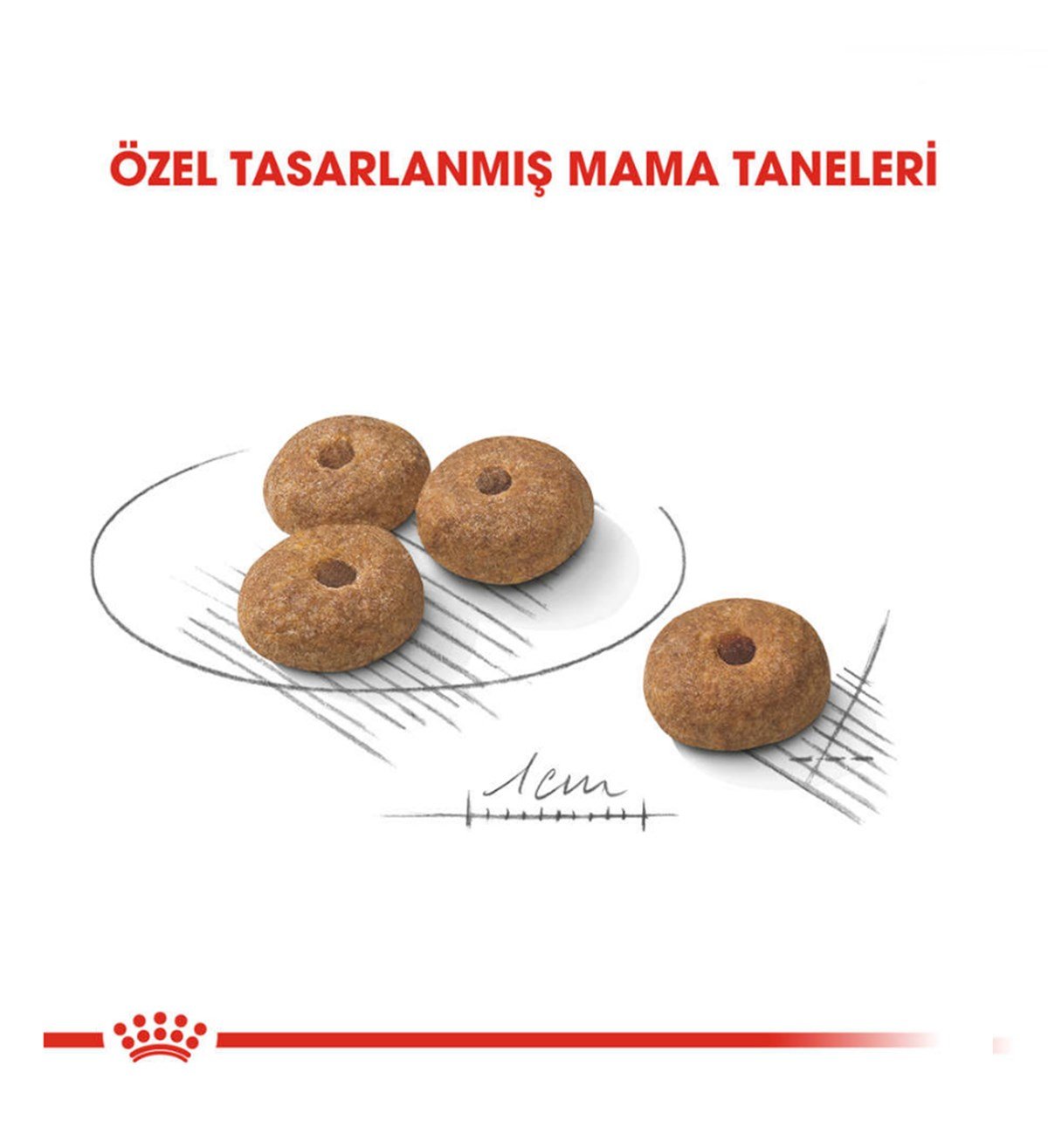 Royal Canin Mini Sterilised Küçük Irk Kısırlaştırılmış Köpek Maması 3 Kg