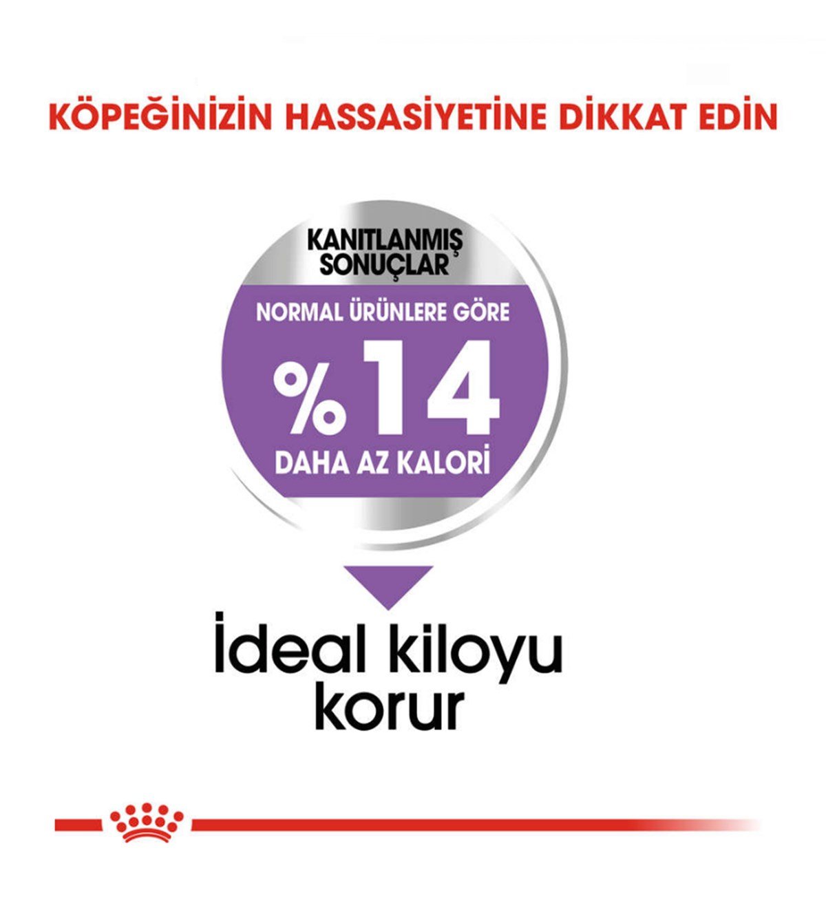 Royal Canin Mini Sterilised Küçük Irk Kısırlaştırılmış Köpek Maması 3 Kg