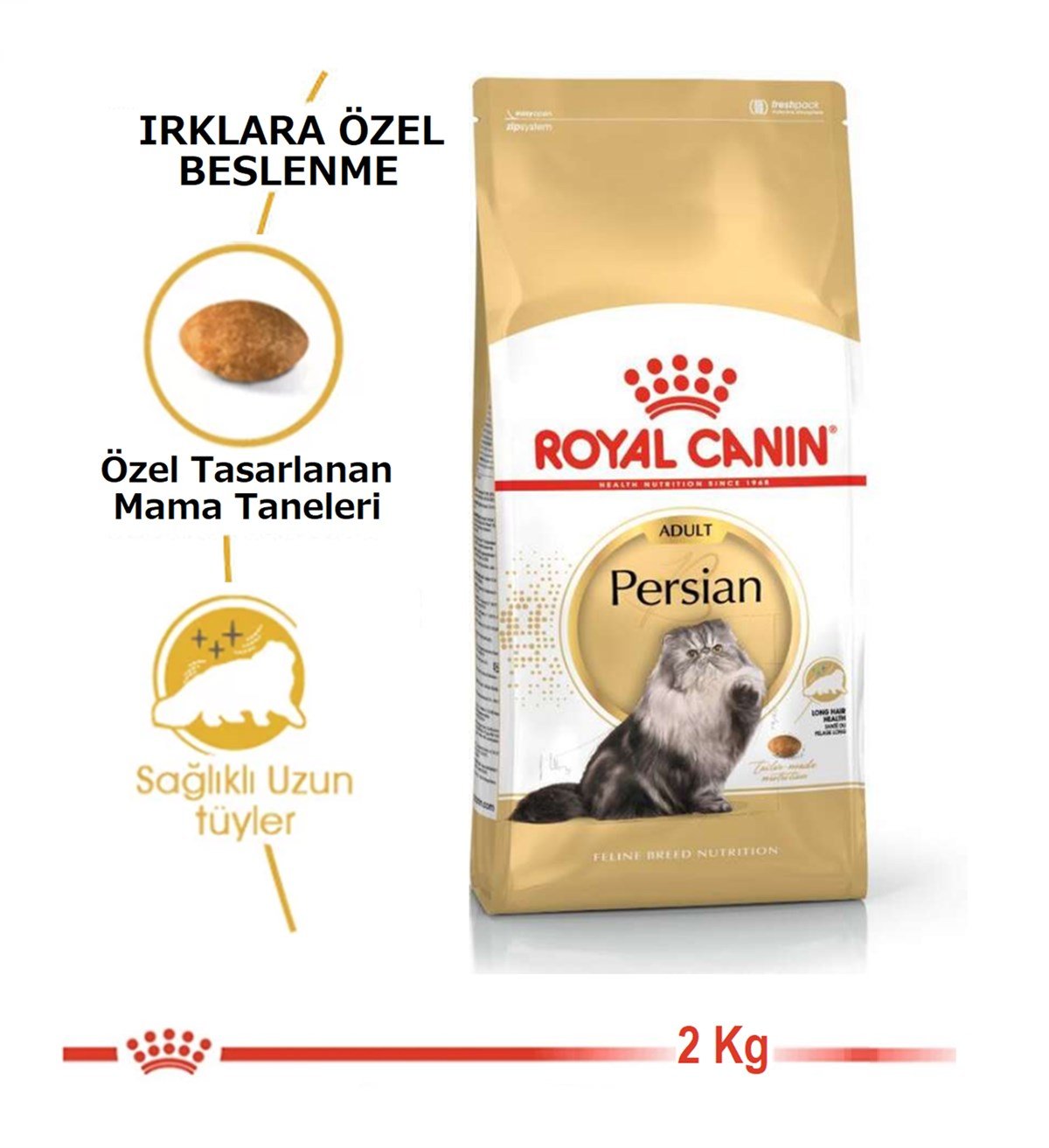 Royal Canin Persian Adult Yetişkin Kedi Maması 2 Kg