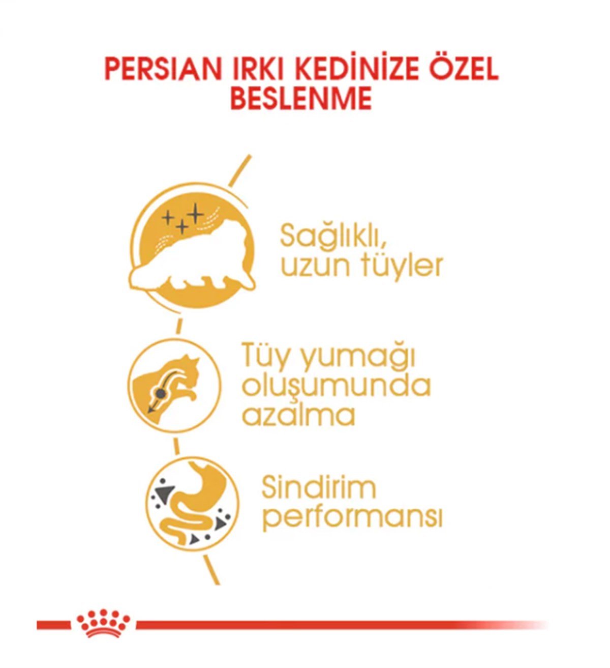 Royal Canin Persian Adult Yetişkin Kedi Maması 2 Kg