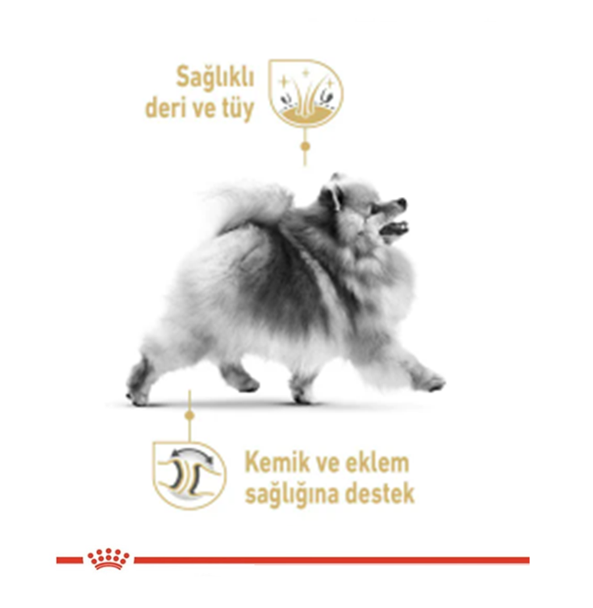 Royal Canin Pomeranian Pouch Yetişkin Yaş Köpek Maması 85 Gr