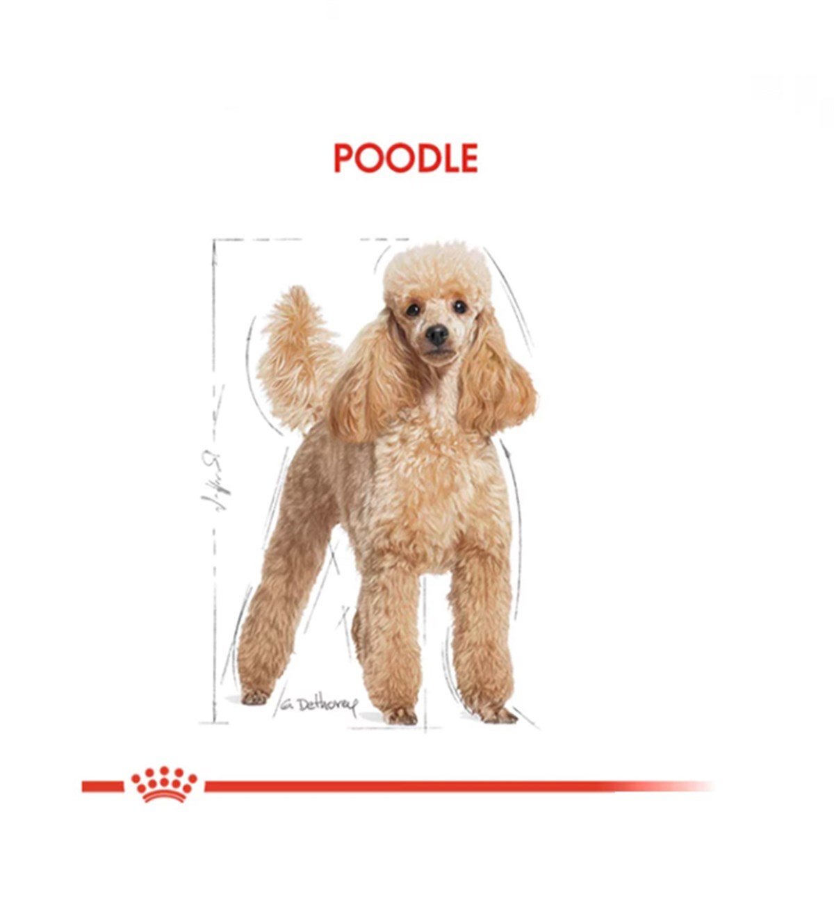 Royal Canin Poodle Adult Yetişkin Köpek Maması 3 Kg.
