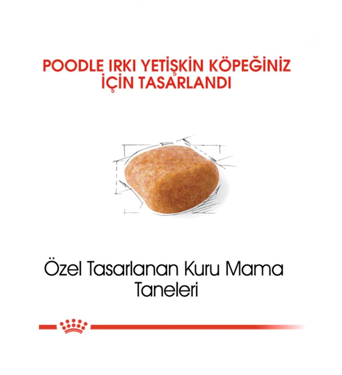 Royal Canin Poodle Adult Yetişkin Köpek Maması 3 Kg.