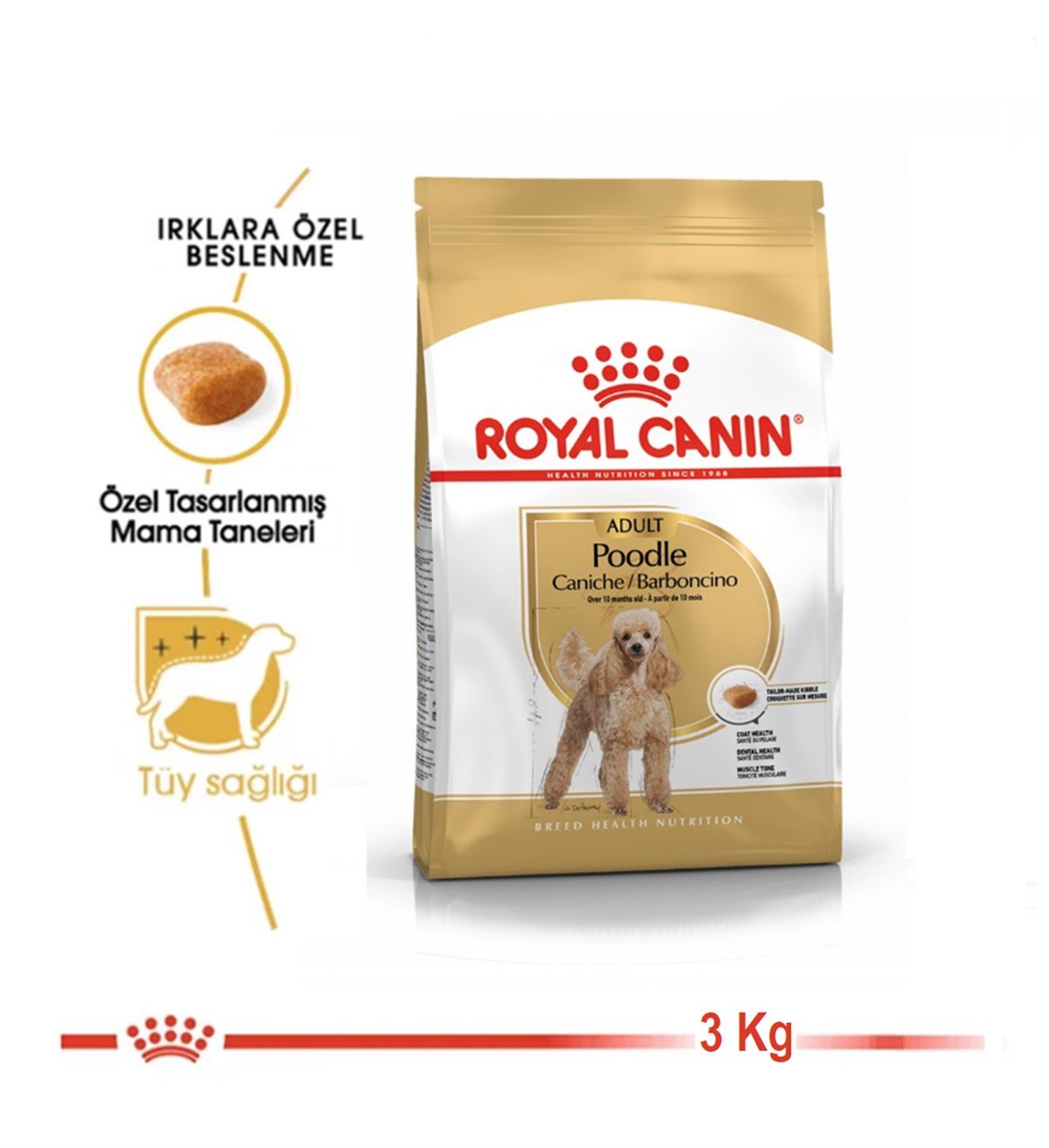 Royal Canin Poodle / Caniche Adult Yetişkin Köpek Maması 3 Kg.