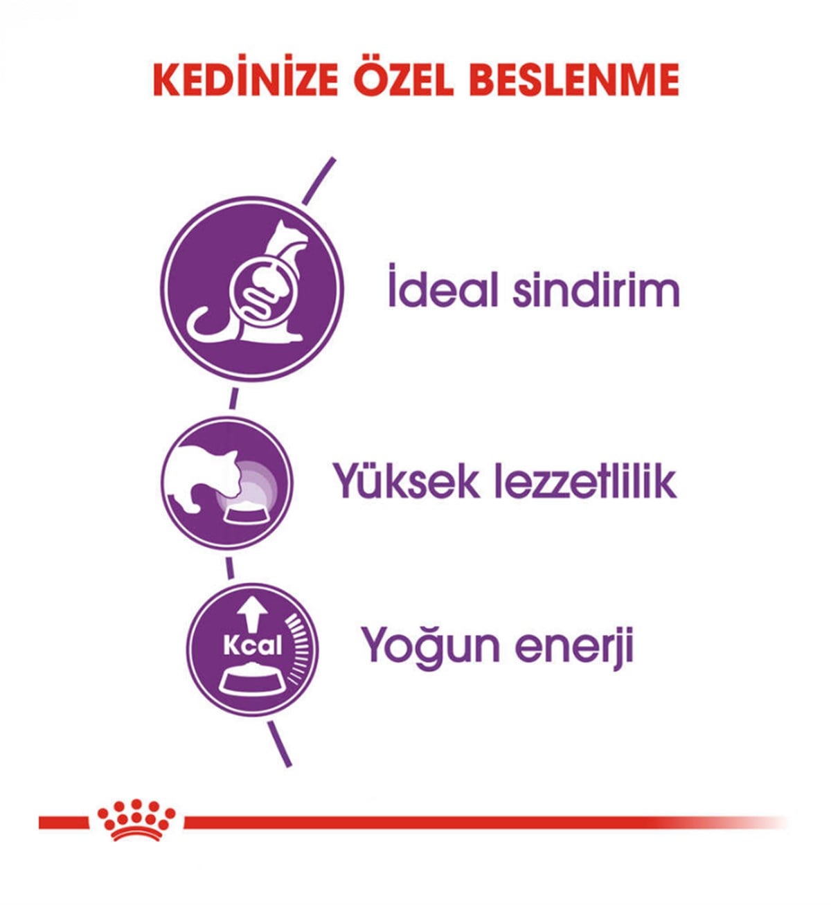 Royal Canin Sensible Hassas Sindirim Sistemi Kedi Maması 2 Kg