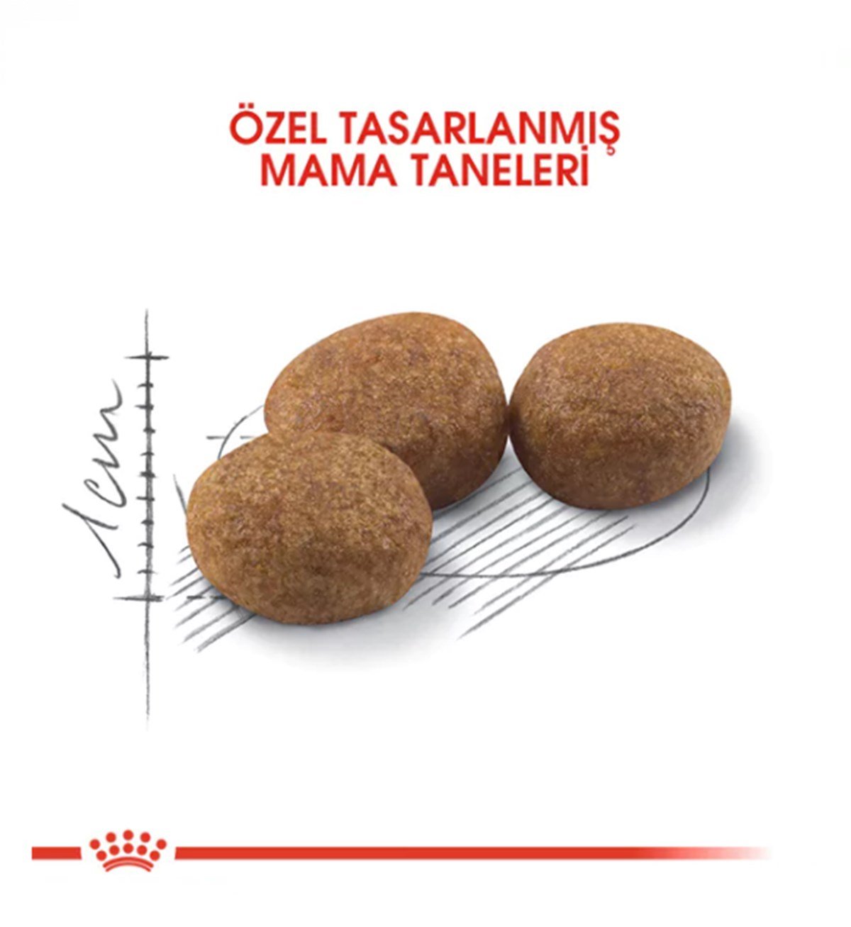 Royal Canin Sterilised 37 Kısır Kedi Maması 4 Kg