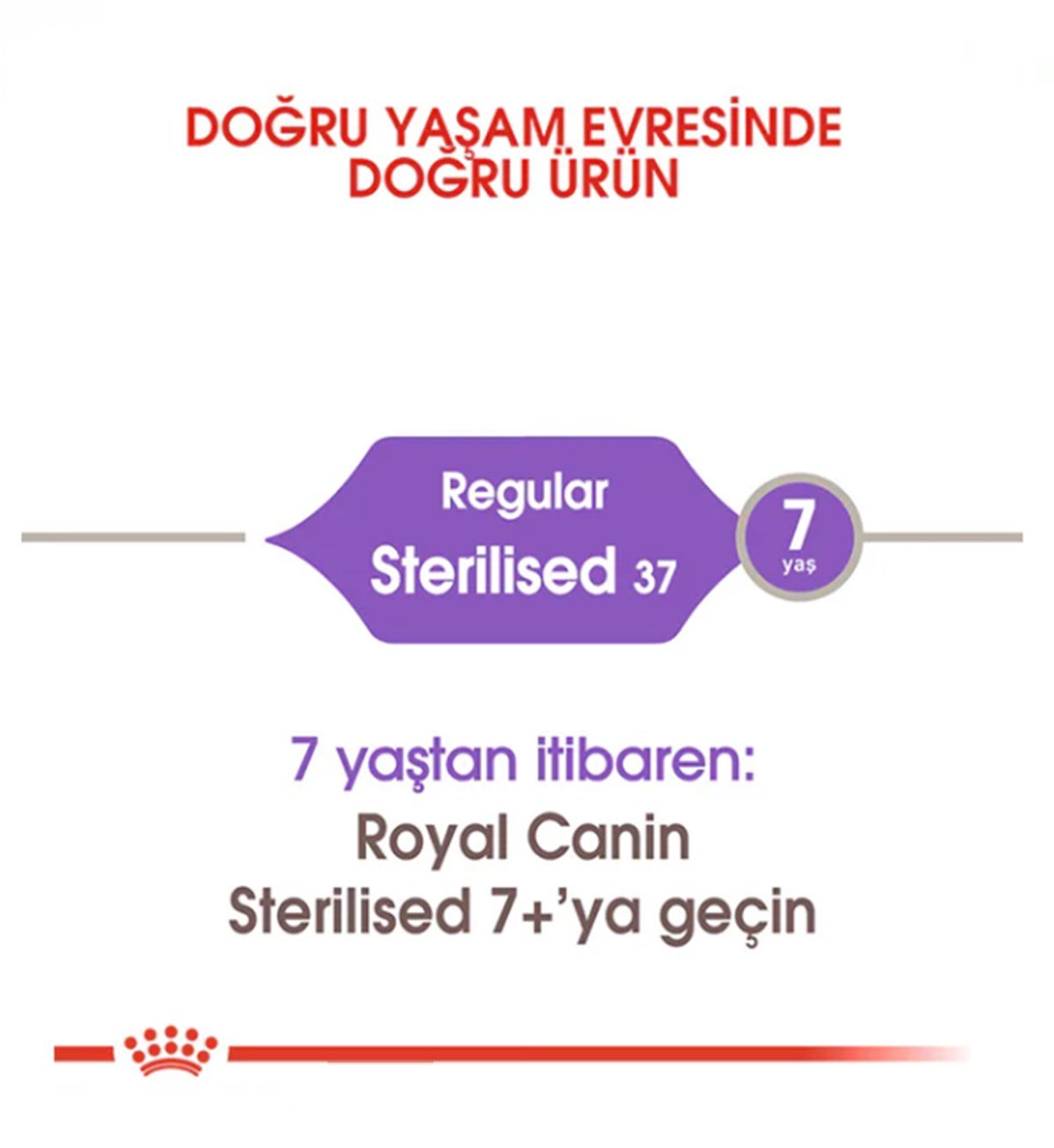 Royal Canin Sterilised 37 Kısırlaştırılmış Yetişkin Kedi Maması 400 Gr