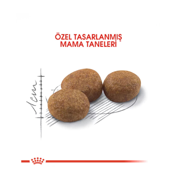Royal Canin Sterilised Kısırlaştırılmış Yetişkin Kedi Maması 2 Kg