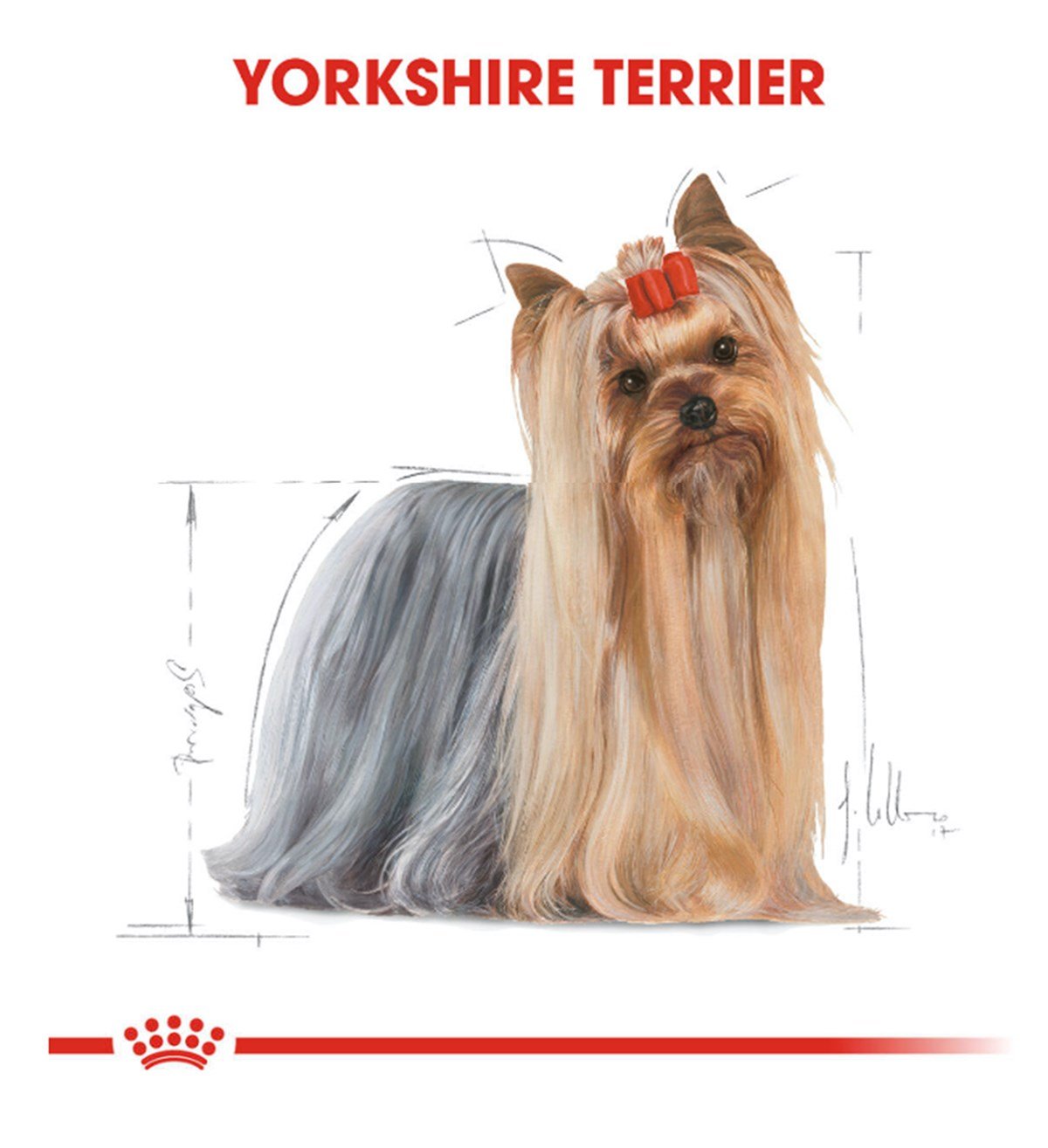 Royal Canin Yorkshire Terrier Köpek Maması 1,5 Kg