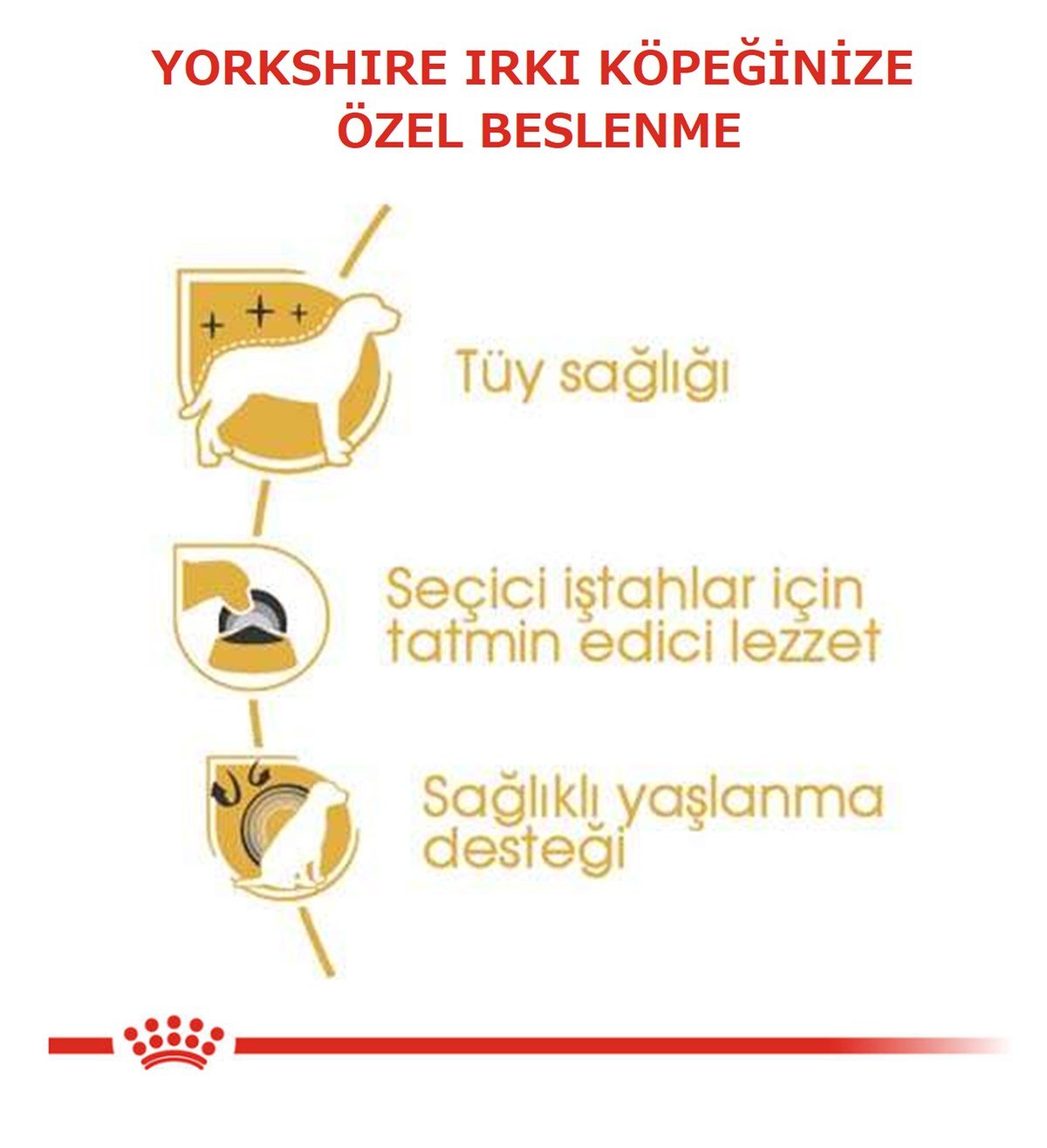 Royal Canin Yorkshire Terrier Köpek Maması 1,5 Kg