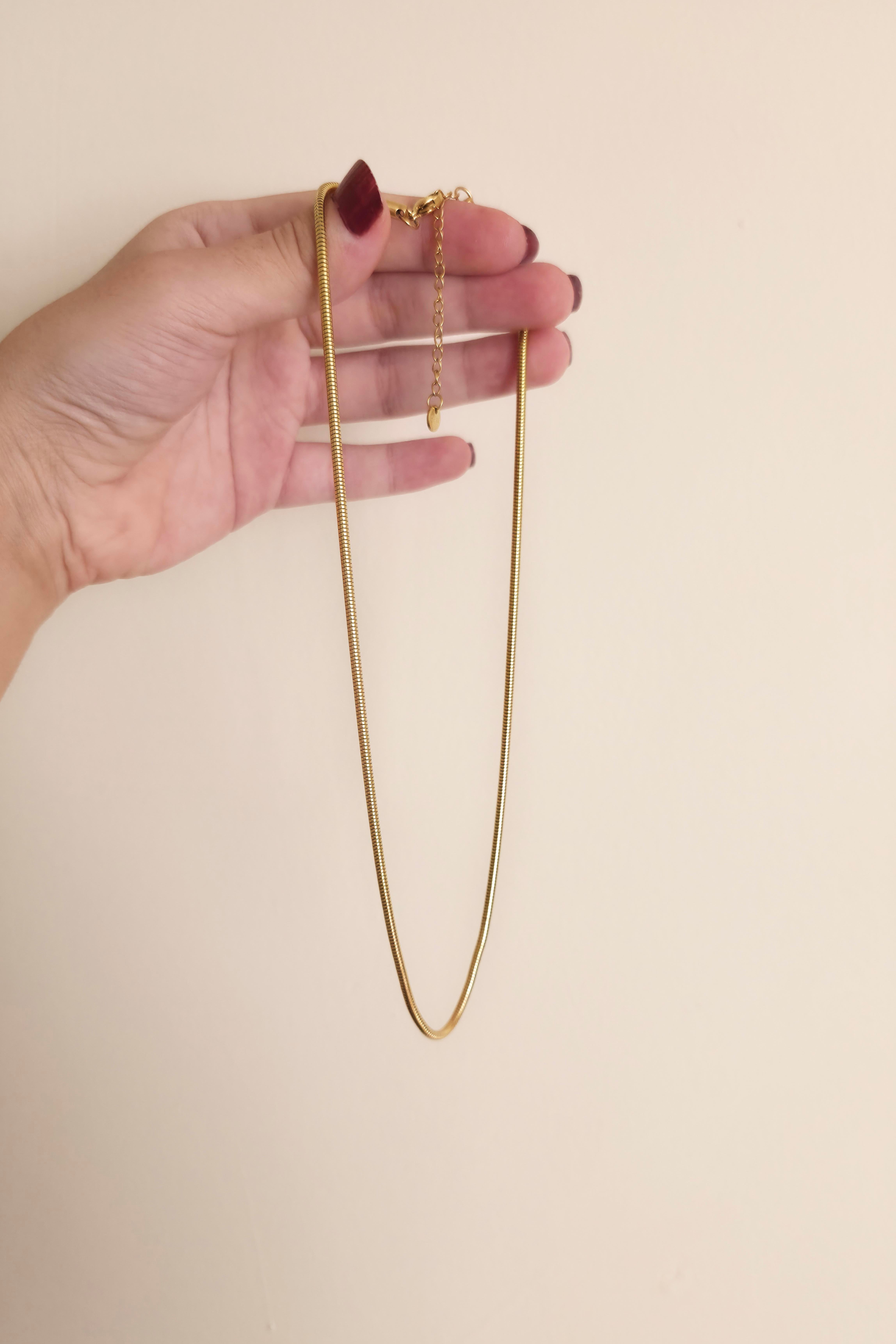 316 L Çelik Antialerjenik Kararmaz Yılan Kolye  45+7 cm