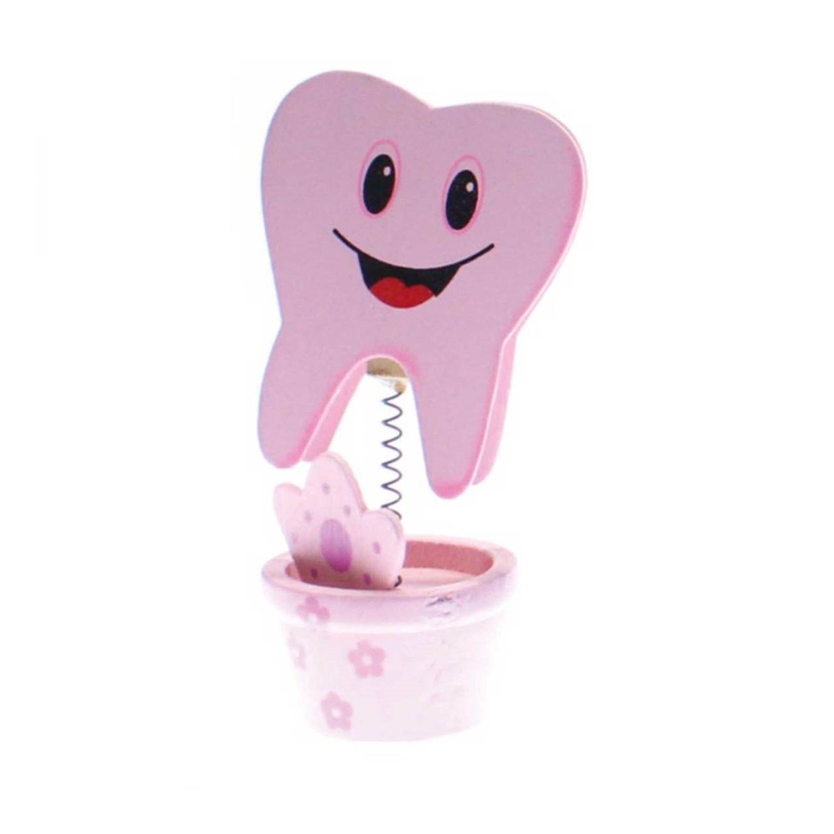 Diş Buğdayı Pembe Notluk 6 Adet