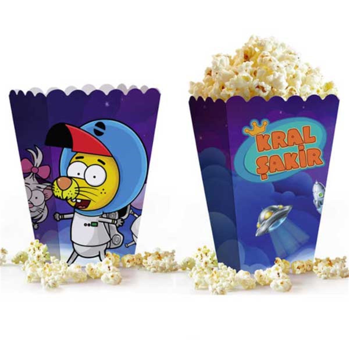 Kral Şakir Uzayda Doğum Günü Mısır Kutusu