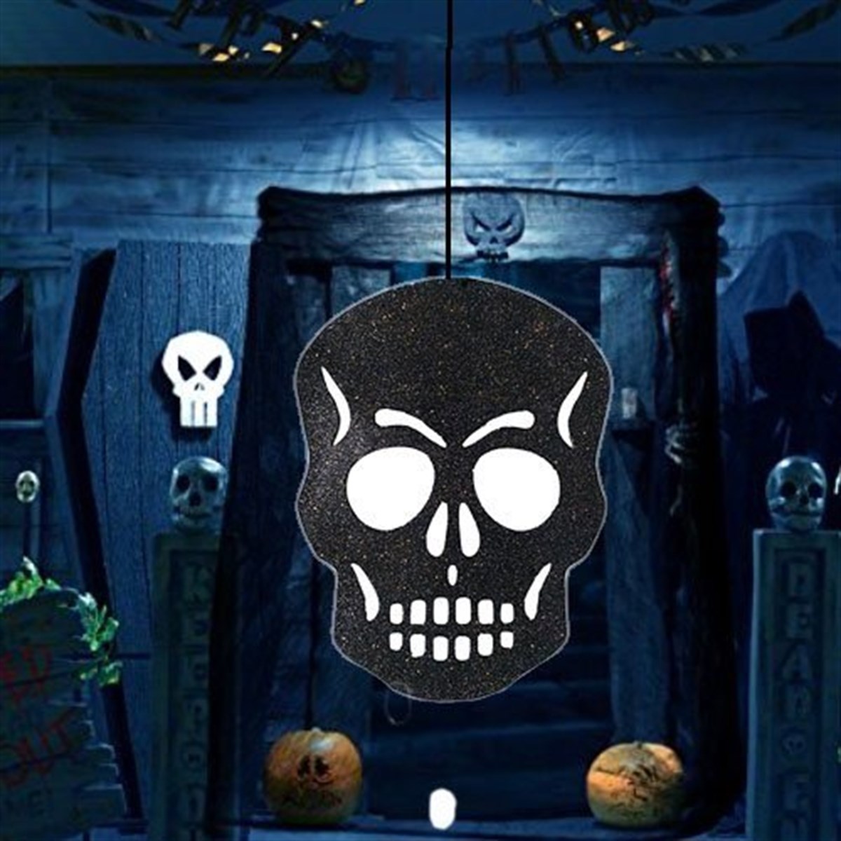 Kuru Kafa Siyah Asma Süs