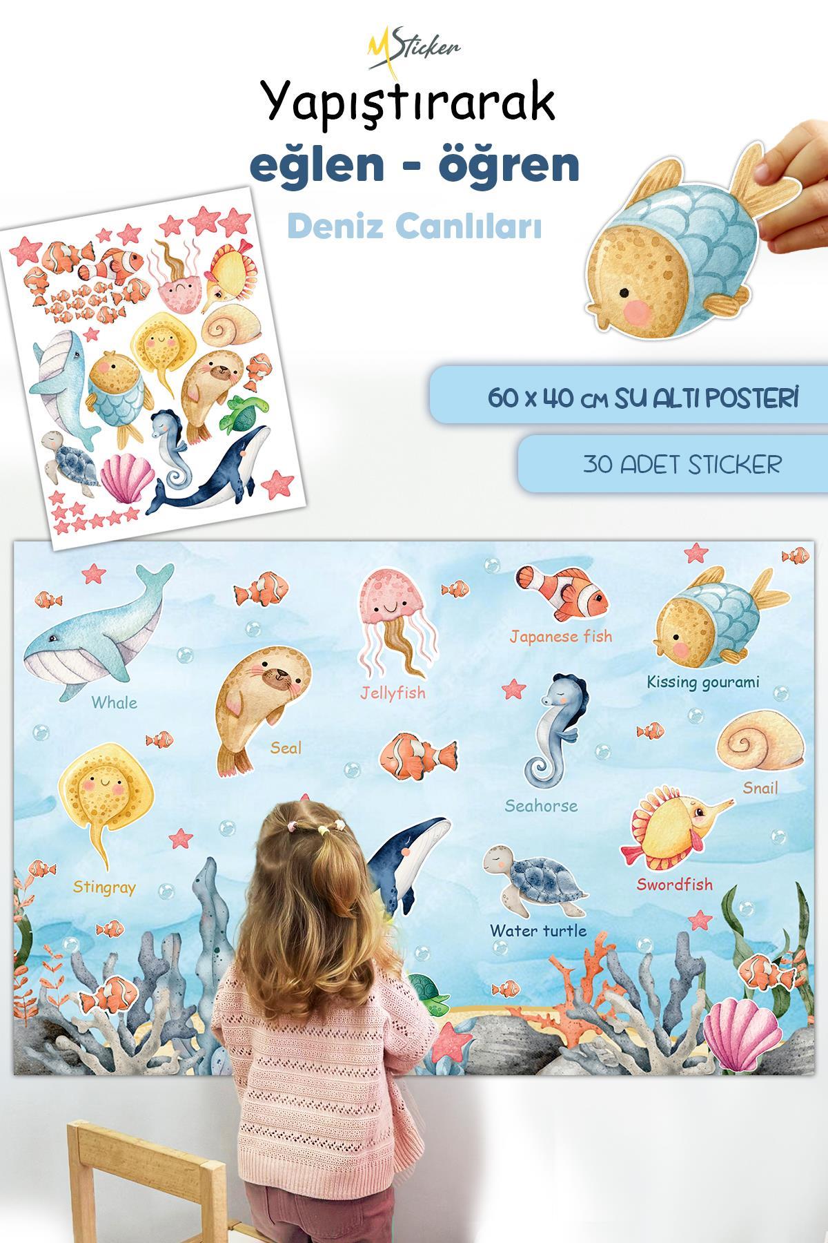 Deniz ve Okyanus Canlıları Eğitici ve Eğlenceli Sök Tak Sticker Seti, Bitmeyen Sticker Eğitici