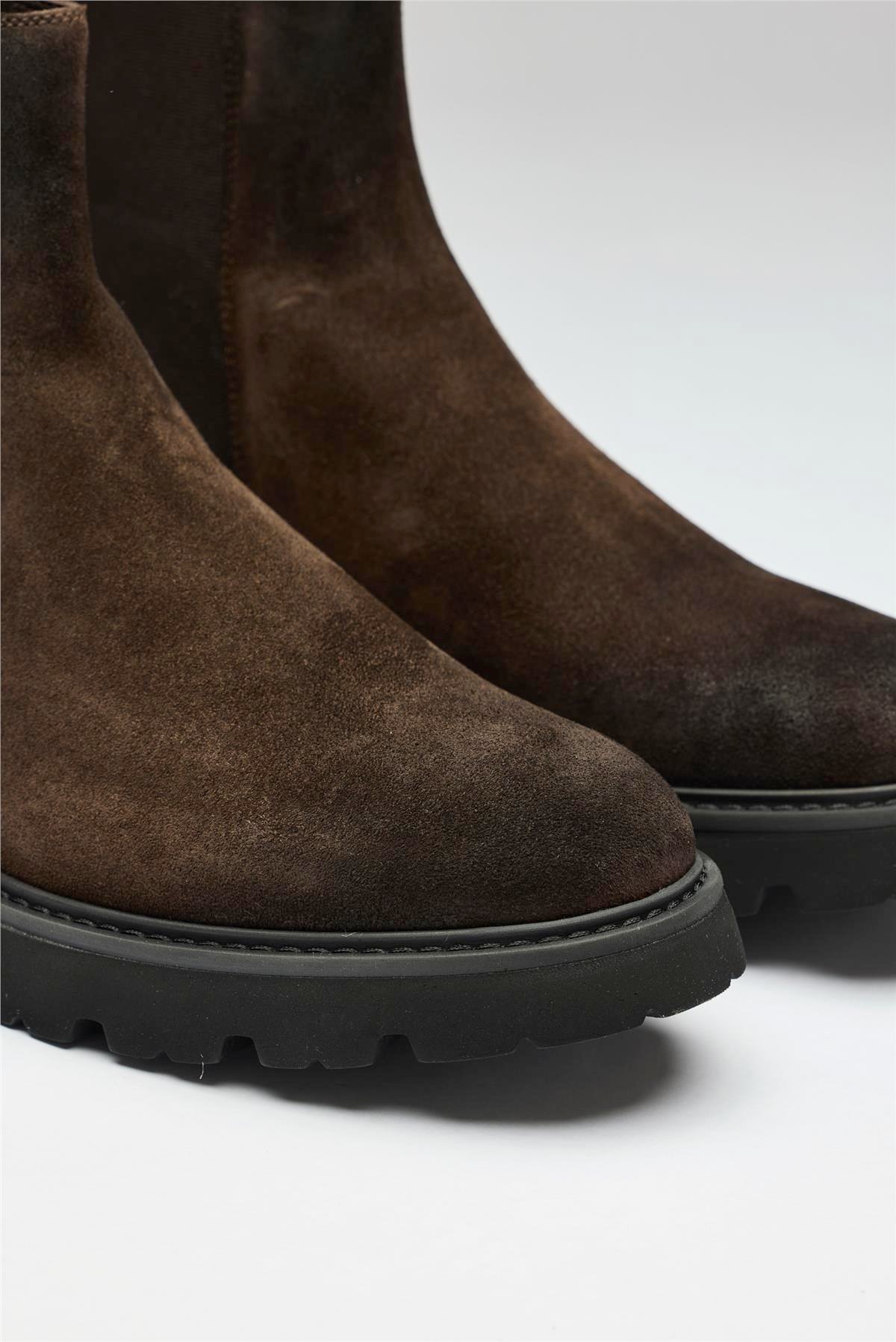 Kahverengi Bantlı Süet Bot