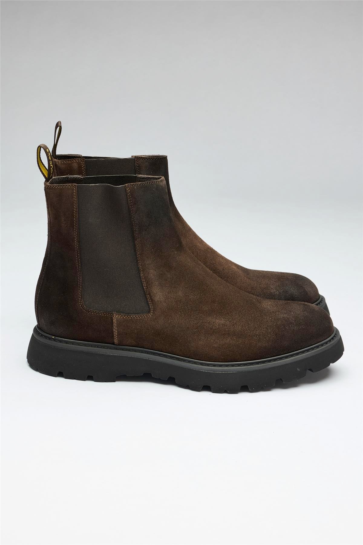 Kahverengi Bantlı Süet Bot