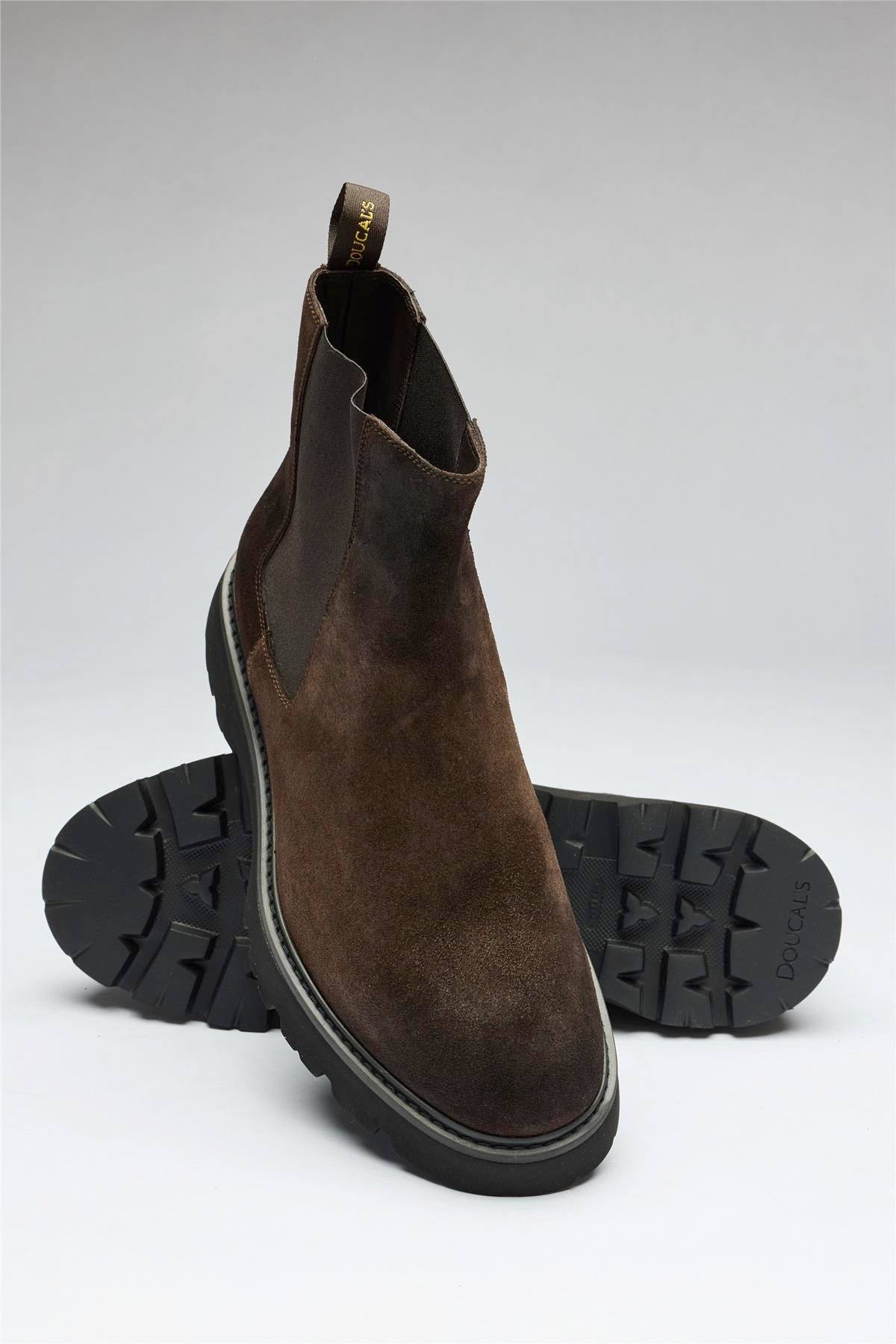 Kahverengi Bantlı Süet Bot