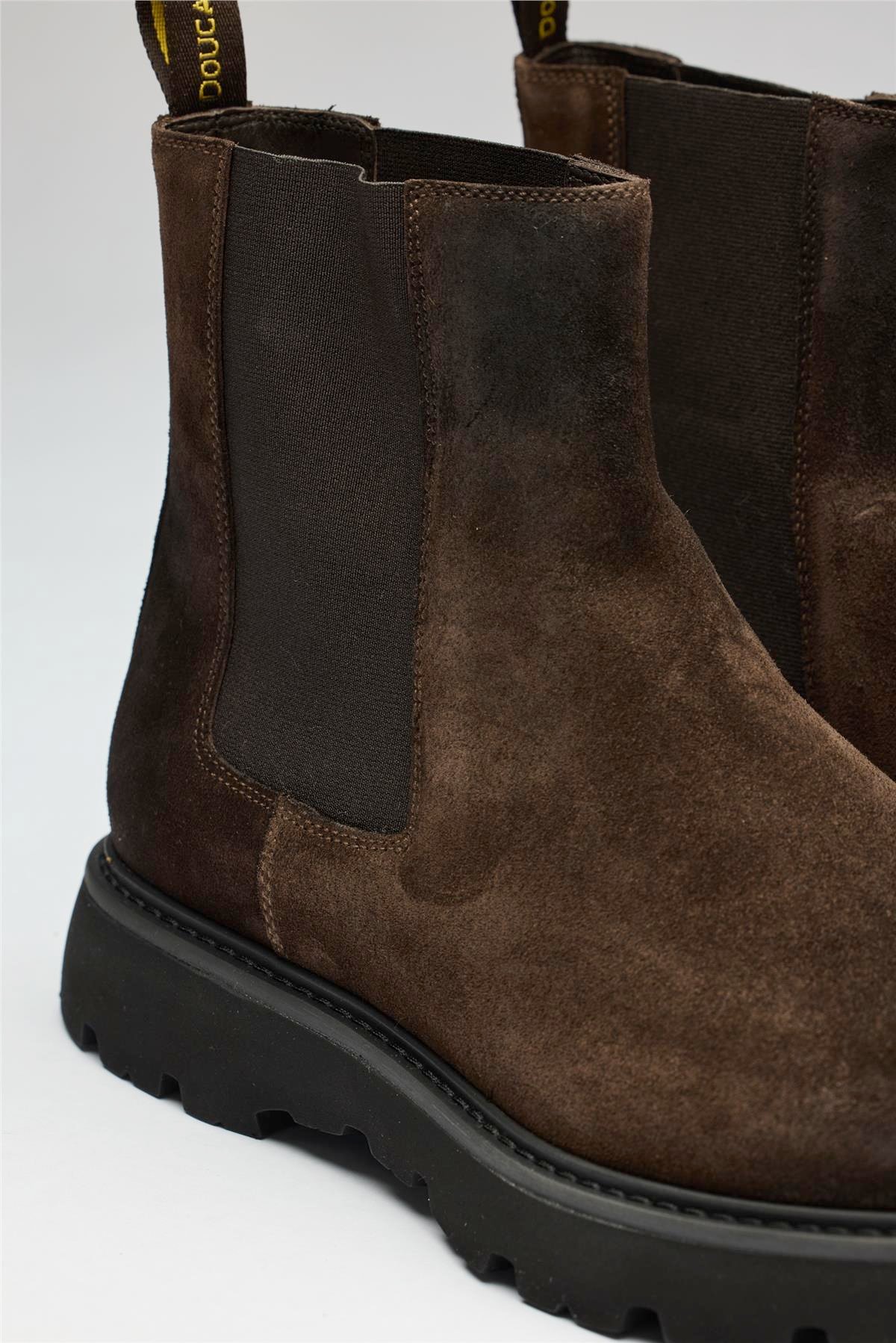 Kahverengi Bantlı Süet Bot