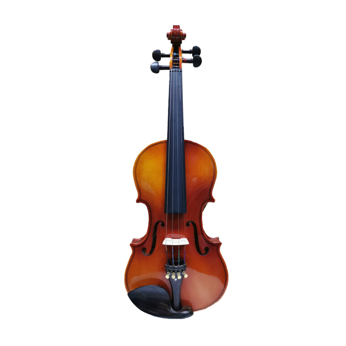 Bergner BEV-100-24 1/2 Keman