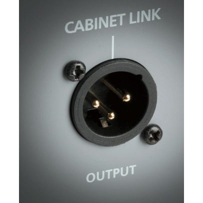 Blackstar Unity Bas U120 Kombo Bas Gitar Amfi