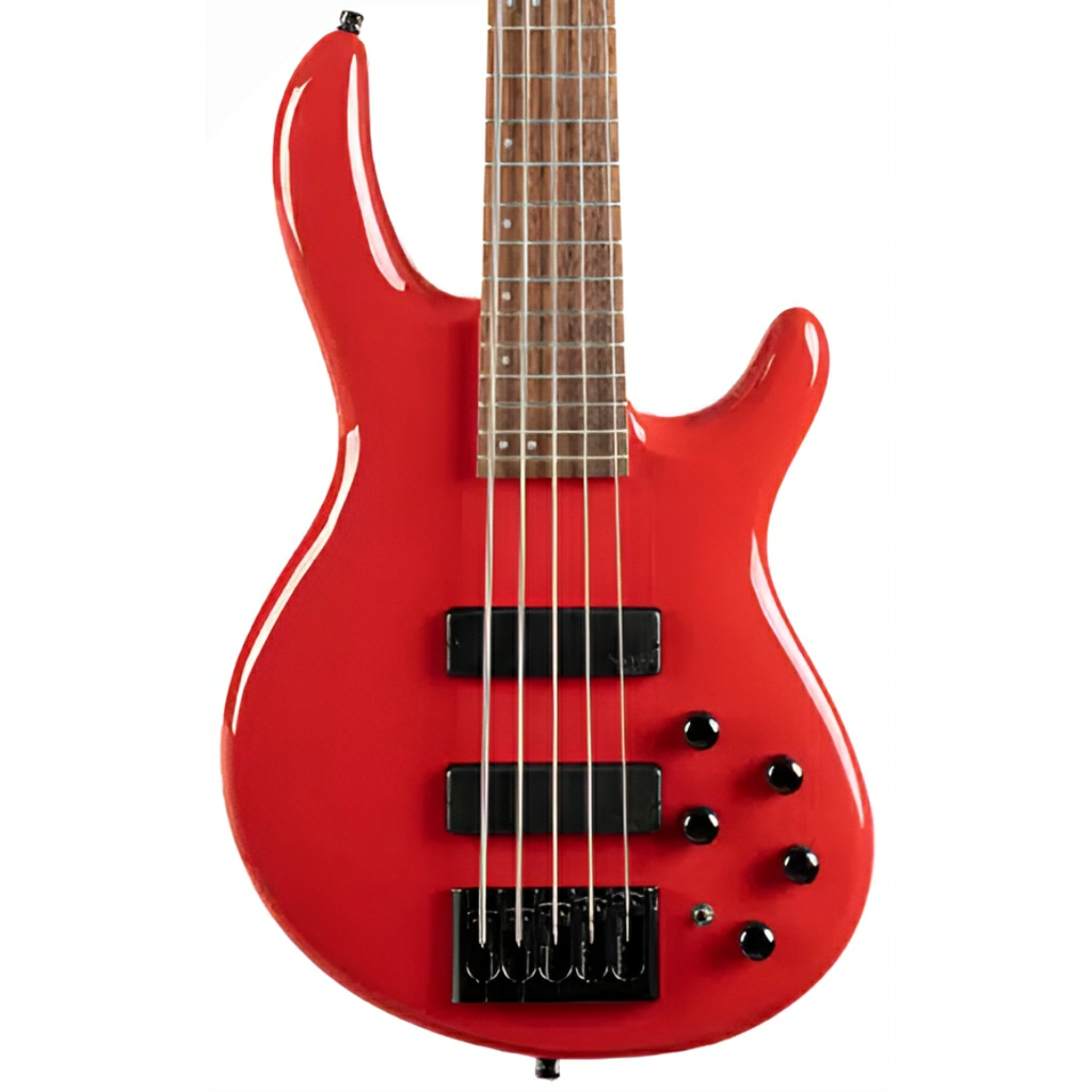 C5 DELUXE CRD BAS GİTAR 5 TELLİ