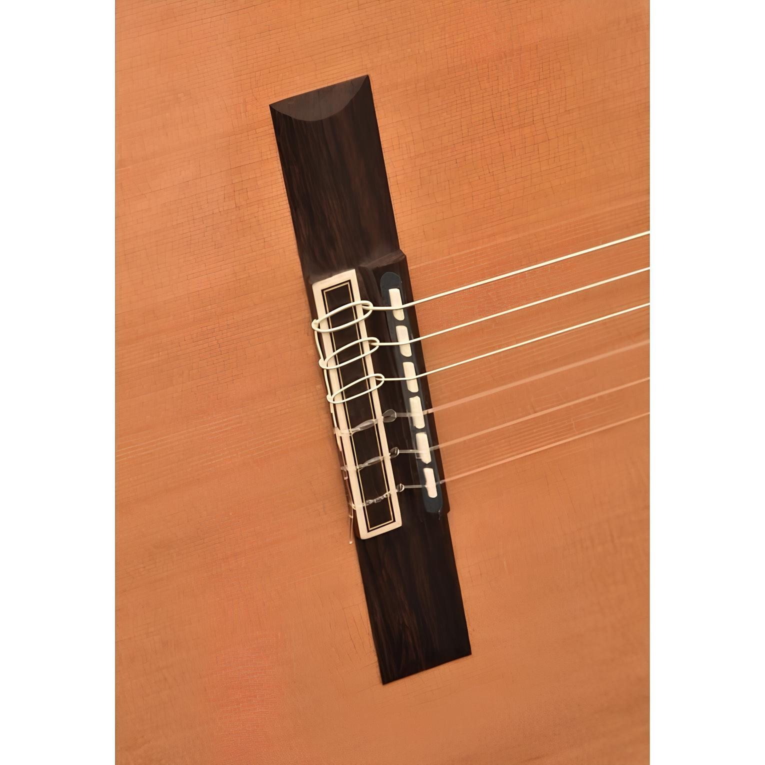 CAMPS CUT-900C PRO-BLEND Elektro Klasik Gitar