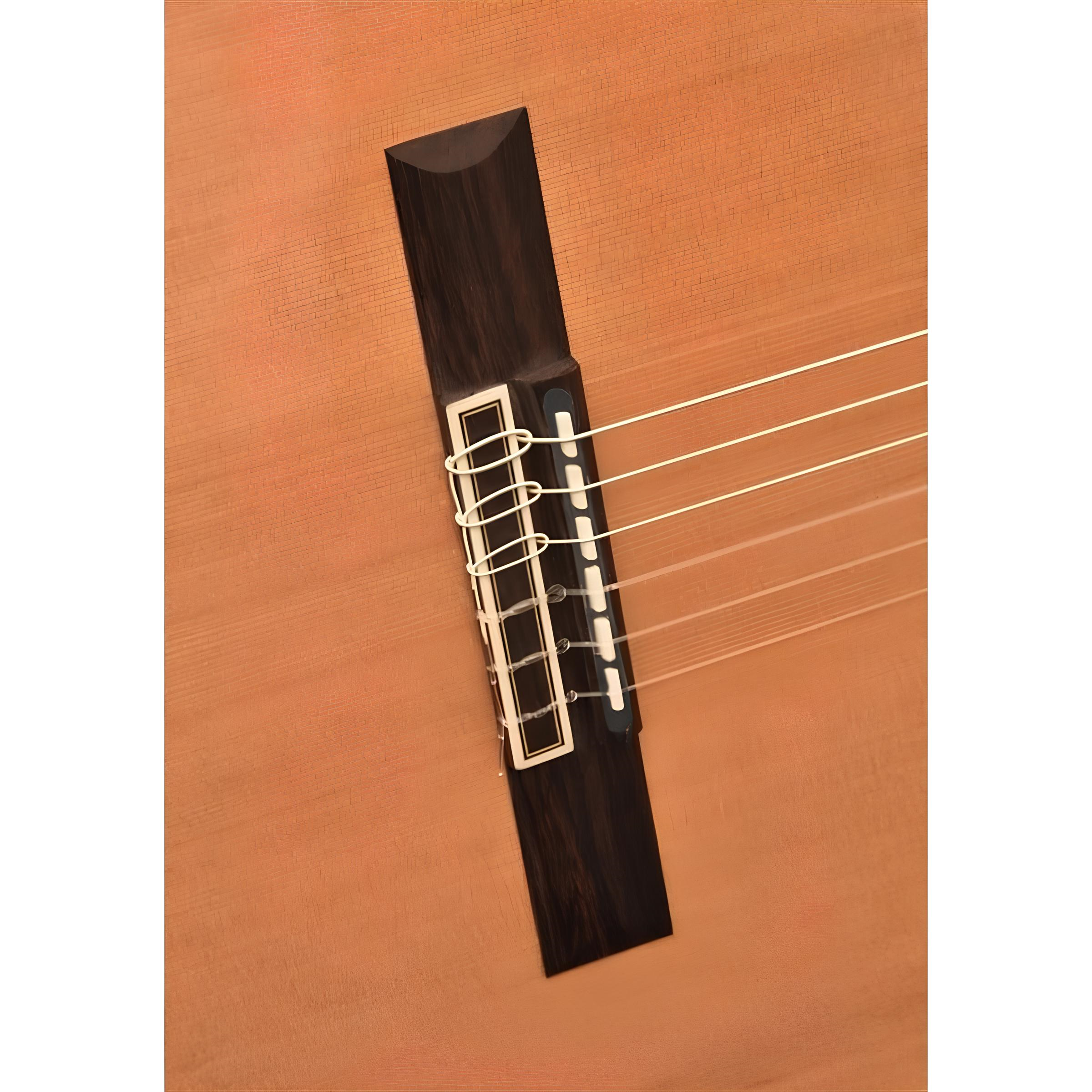 Camps CUT-900CLH PRO-BLEND Elektro Klasik Gitar