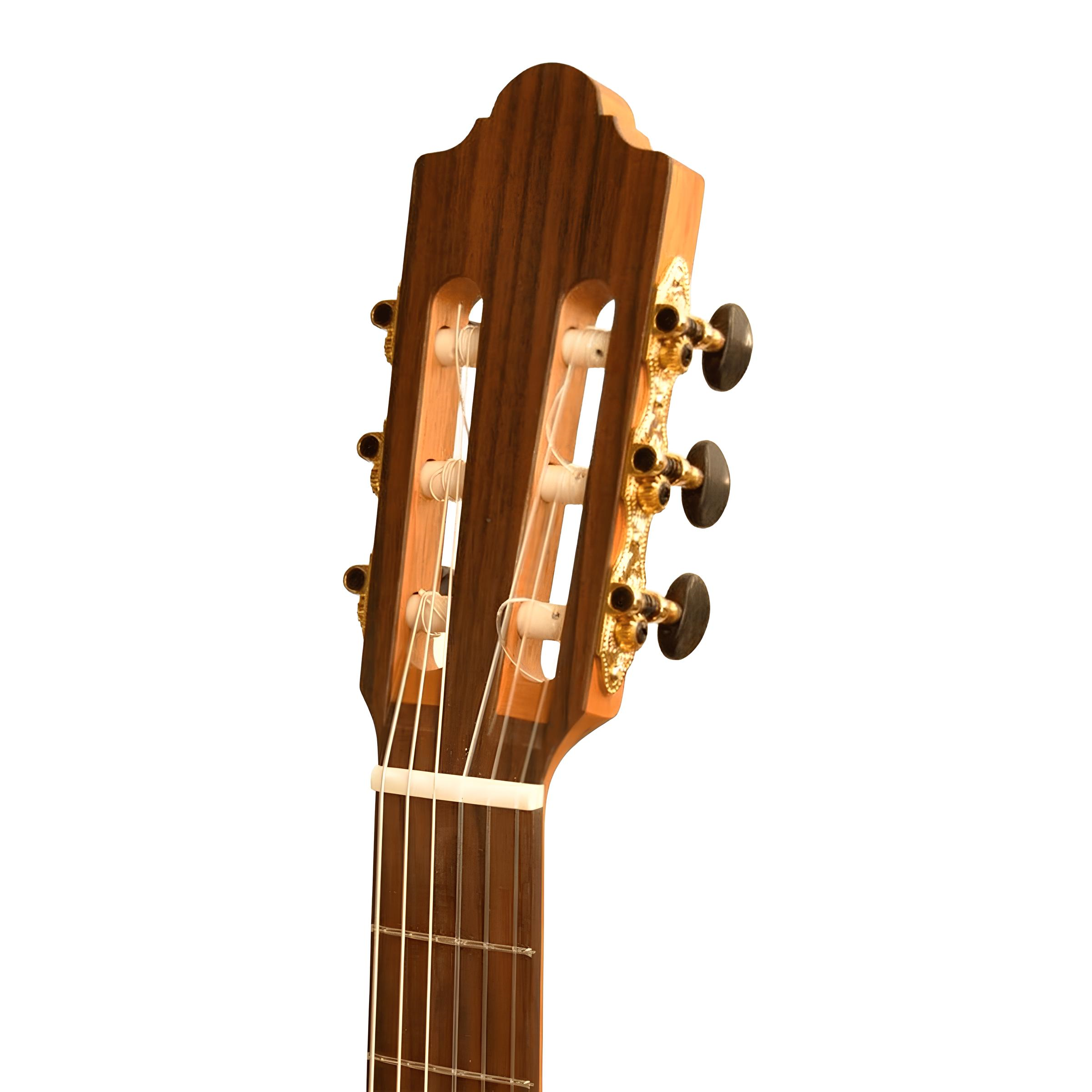 Camps CW1 ELEKTRO KLASİK CUTAWAY GİTAR FISHMAN CLASSIC III