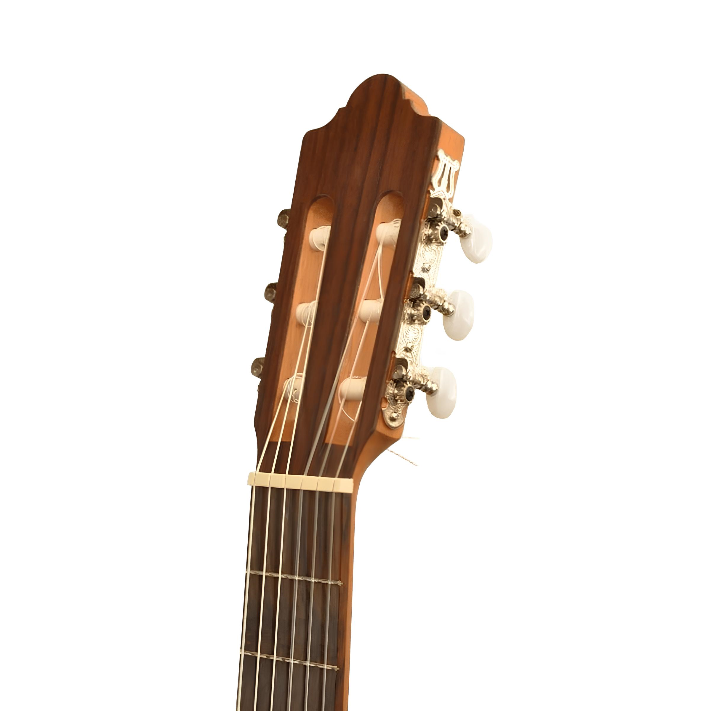 Camps NAC1 ECO ELEKTRO KLASİK GİTAR FISHMAN CLASSIC III