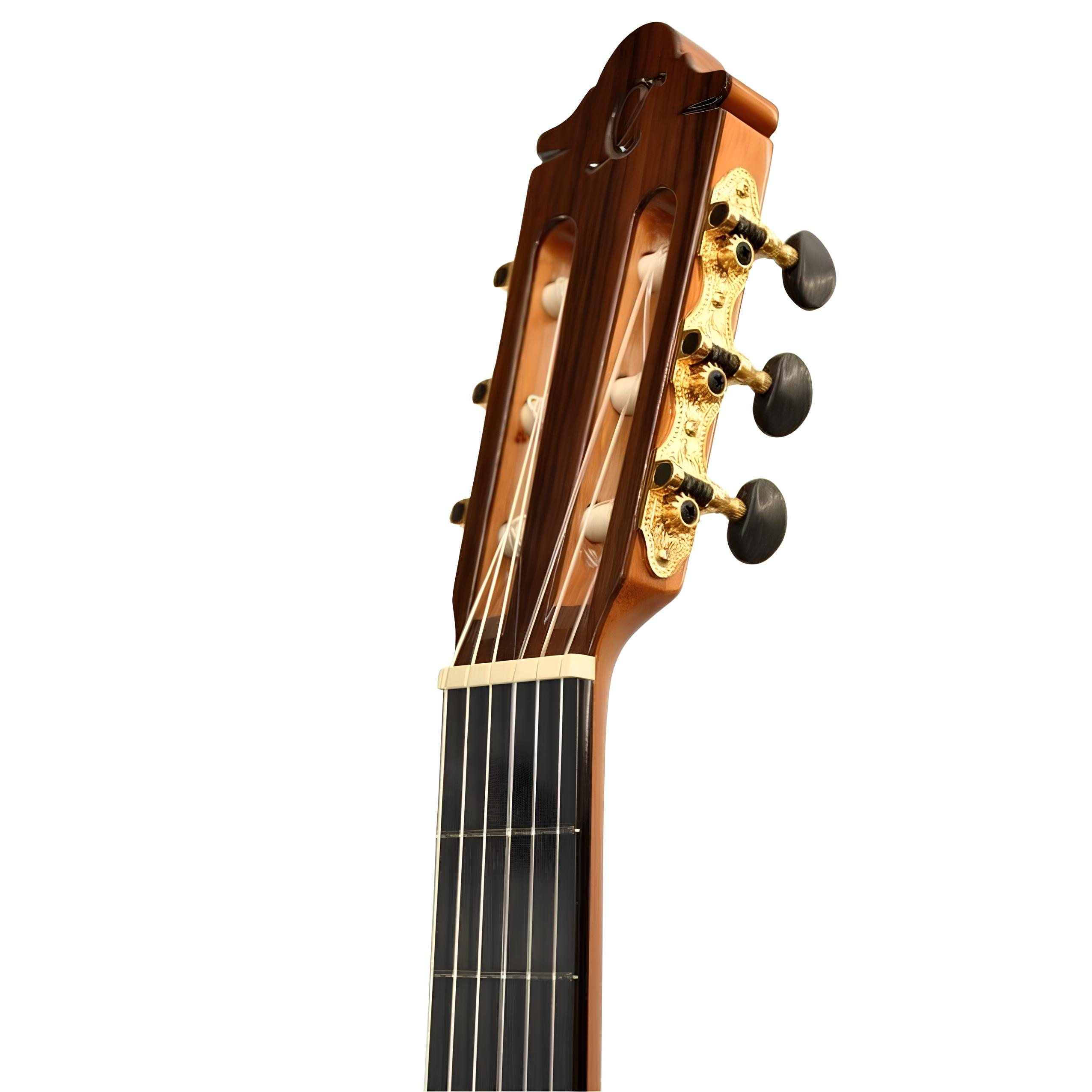 CAMPS NAC2PRO Elektro Klasik Gitar Fishman Pro Blend