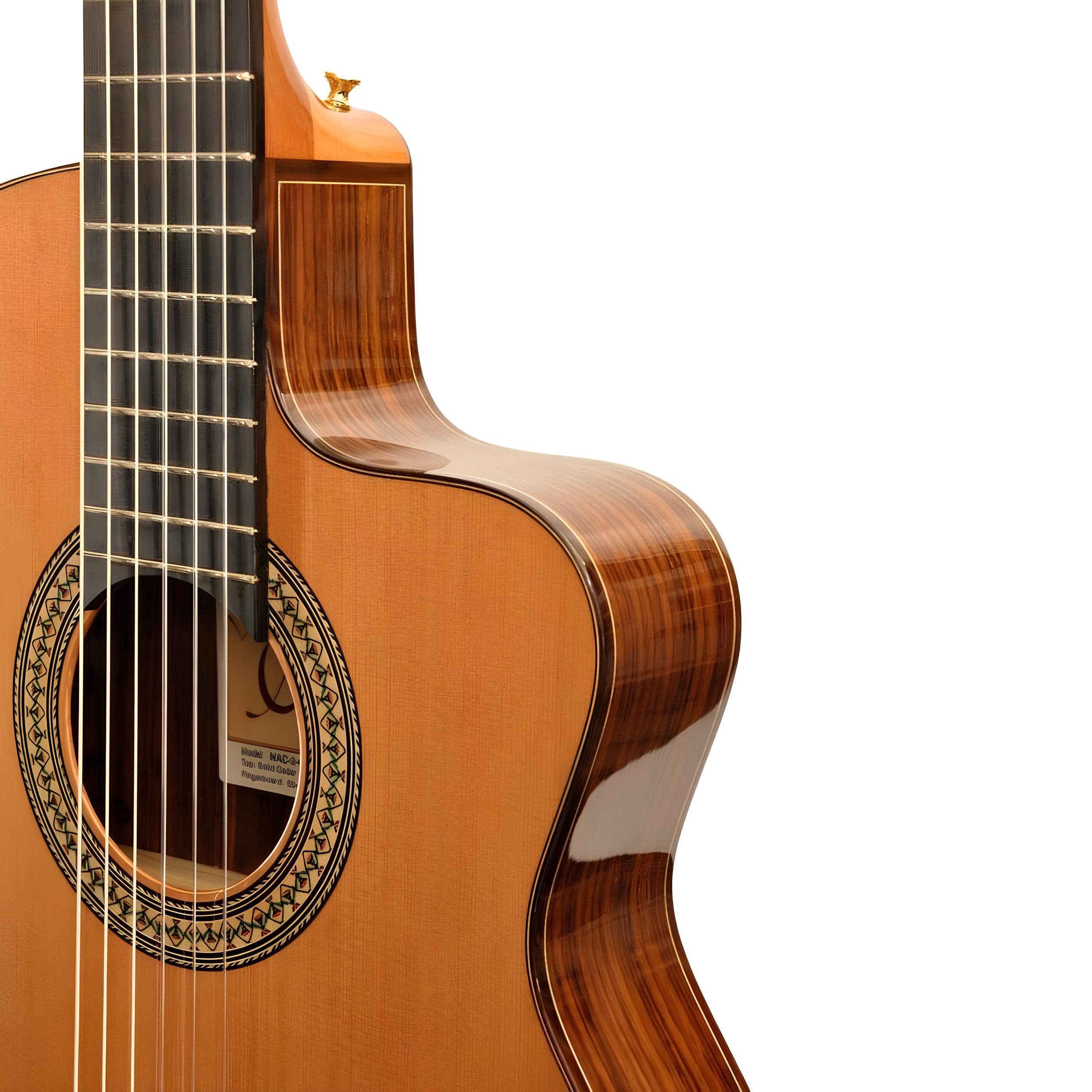 CAMPS NAC2PRO Elektro Klasik Gitar Fishman Pro Blend