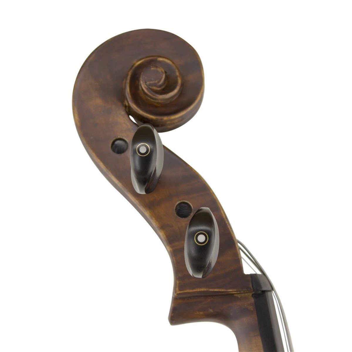 Carlovy CLA6-44 Çello 4/4 (Kılıf, Reçine ve Yay)