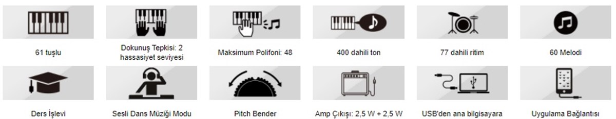 Casio Casiotone CT-S300C2 61 Tuşlu Org (Siyah)