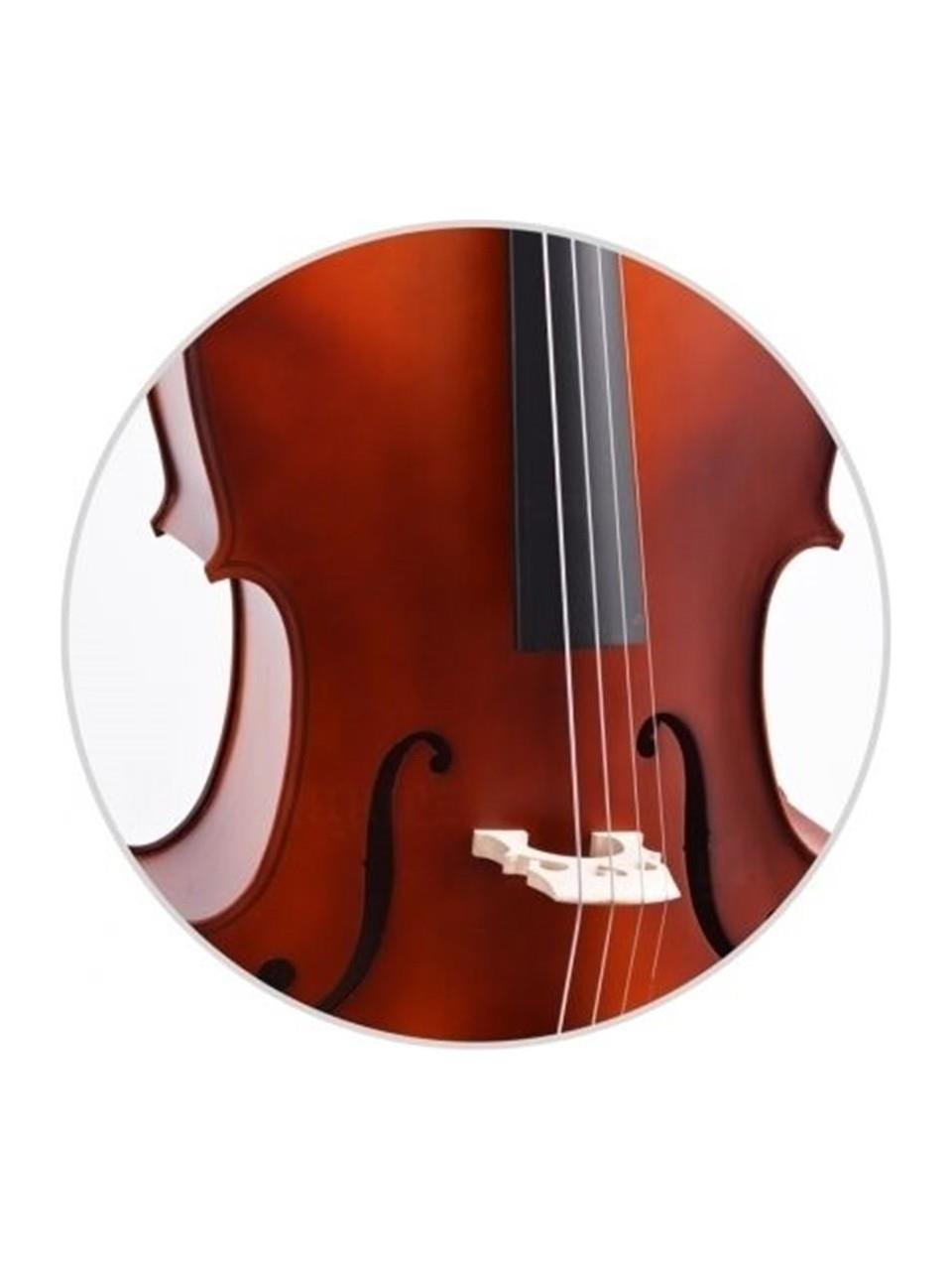 Çello (Viyolonsel) Gül 1/4 DCR14NM