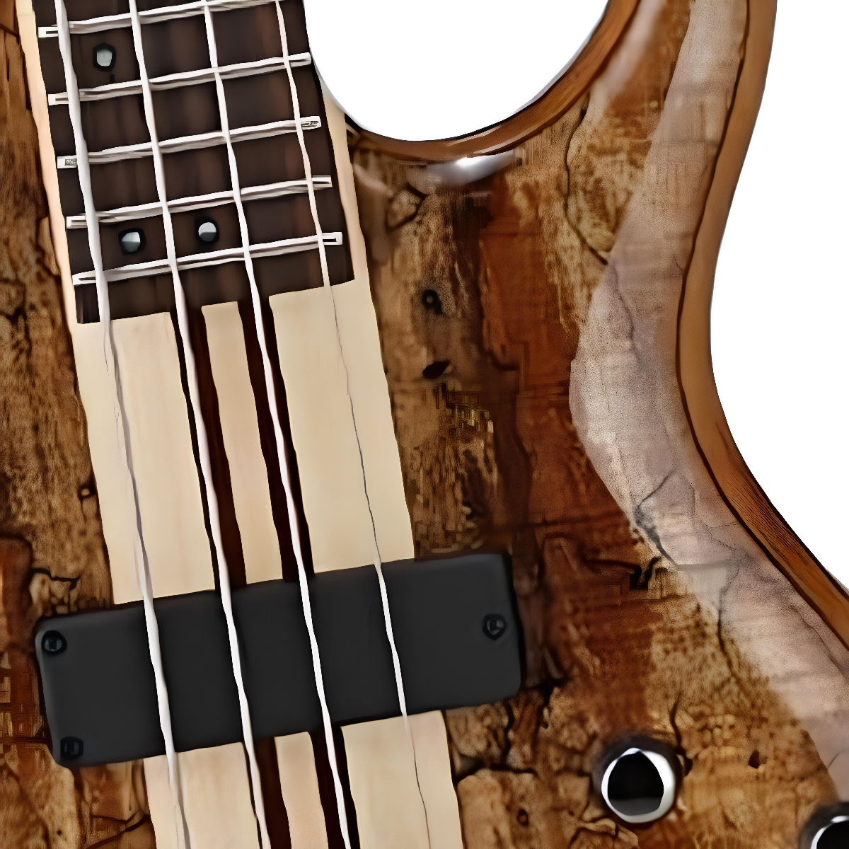 CORT A4 CUSTOM SPNATW BAS GİTAR