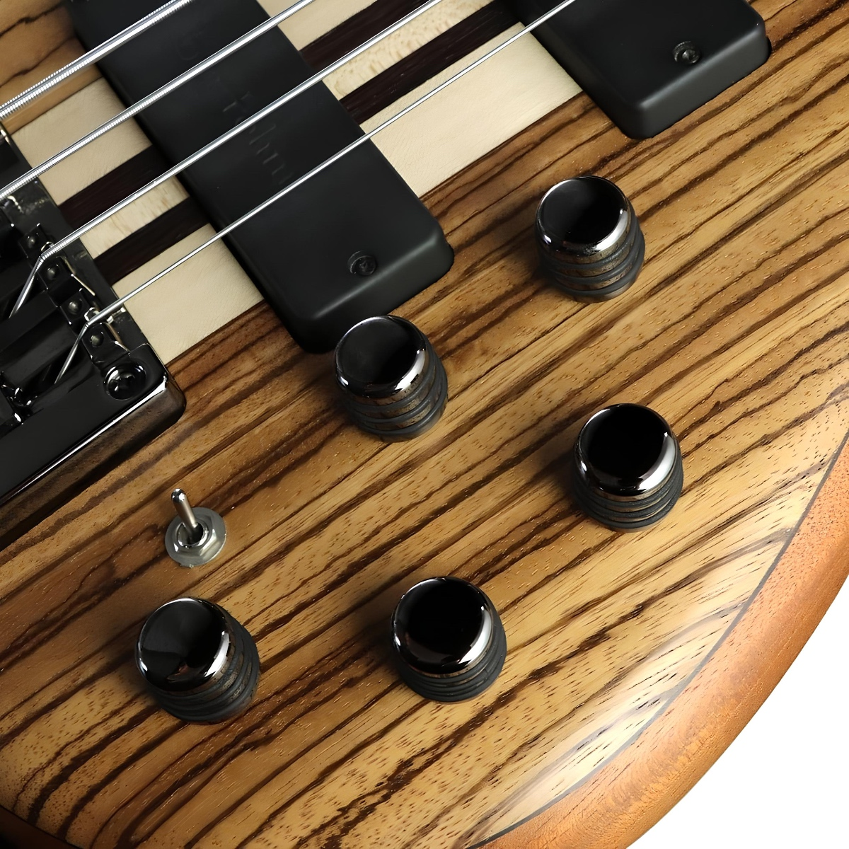 CORT A4 CUSTOM Z OPNW BAS GİTAR 4 TELLİ ÇANTALI